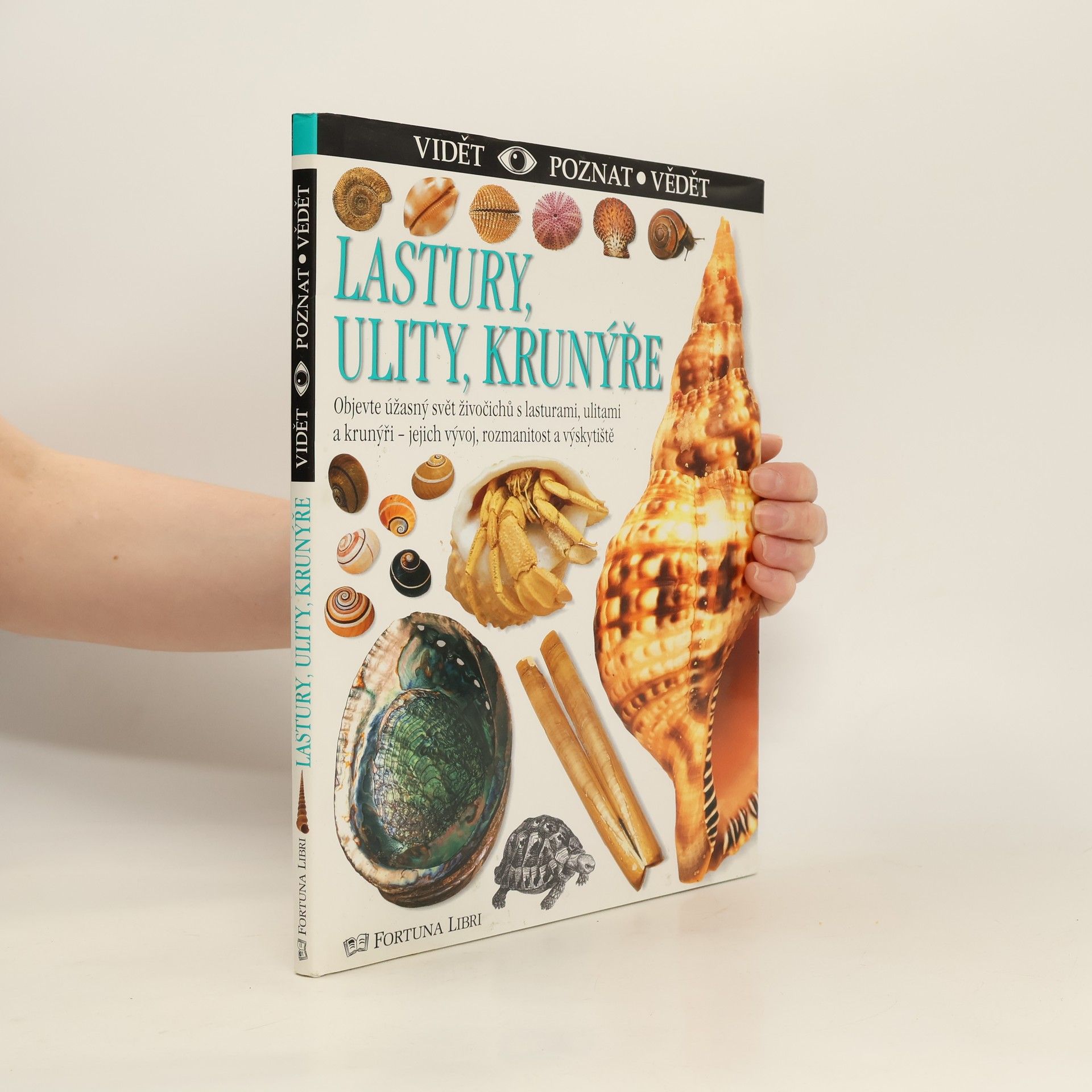 Alex Arthur Lastury, ulity, krunýře