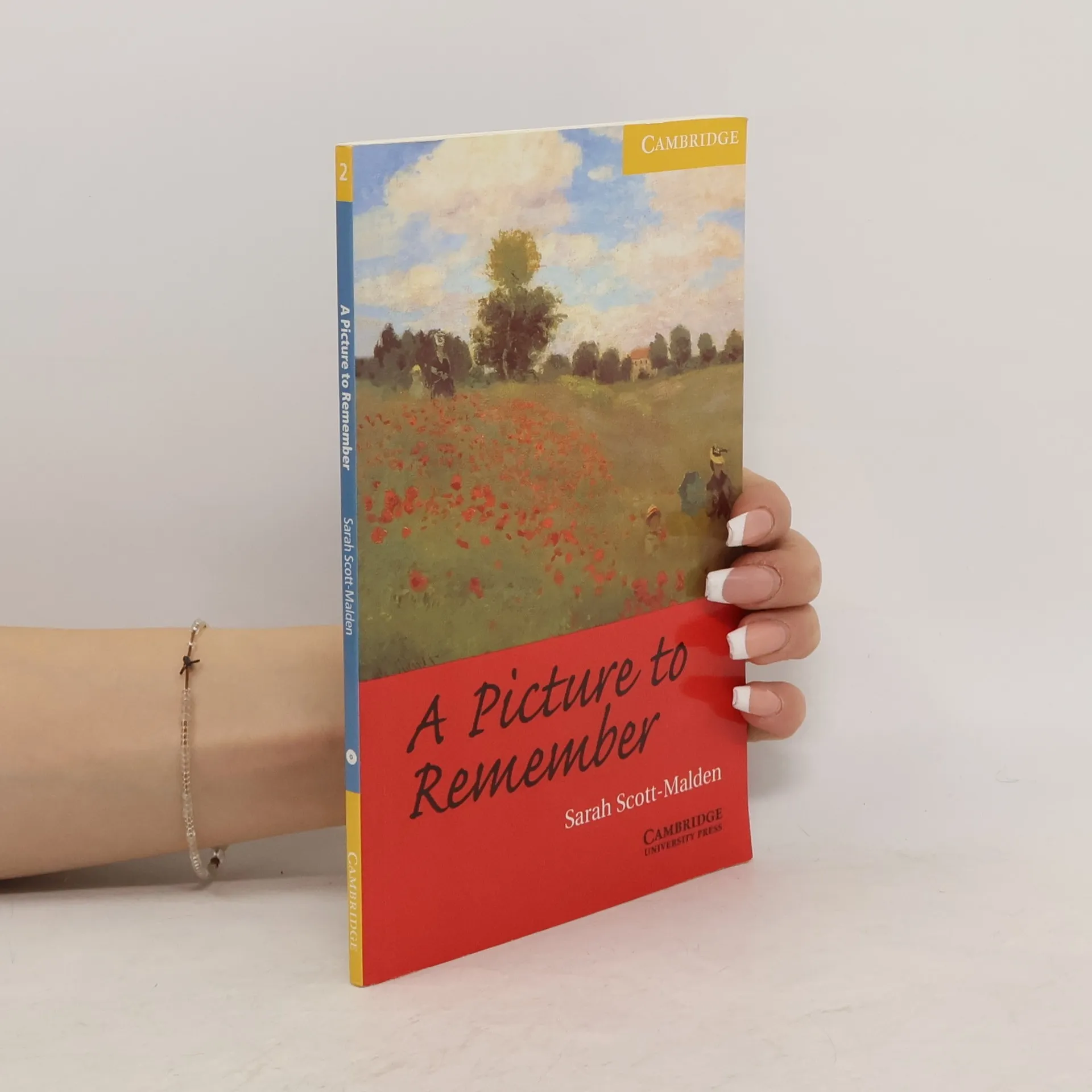 A Picture to Remember | Book | Chris McLoughlin | EN