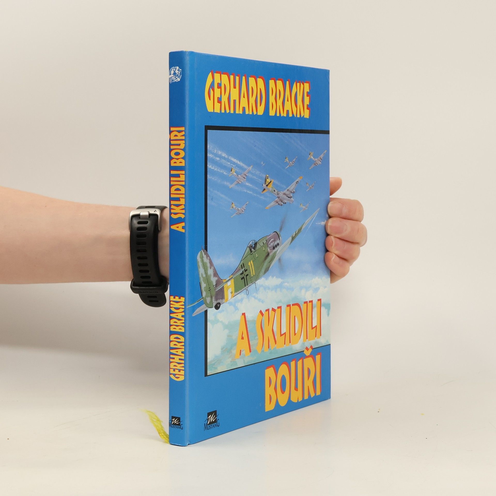 Gerhard Bracke A sklidili bouři