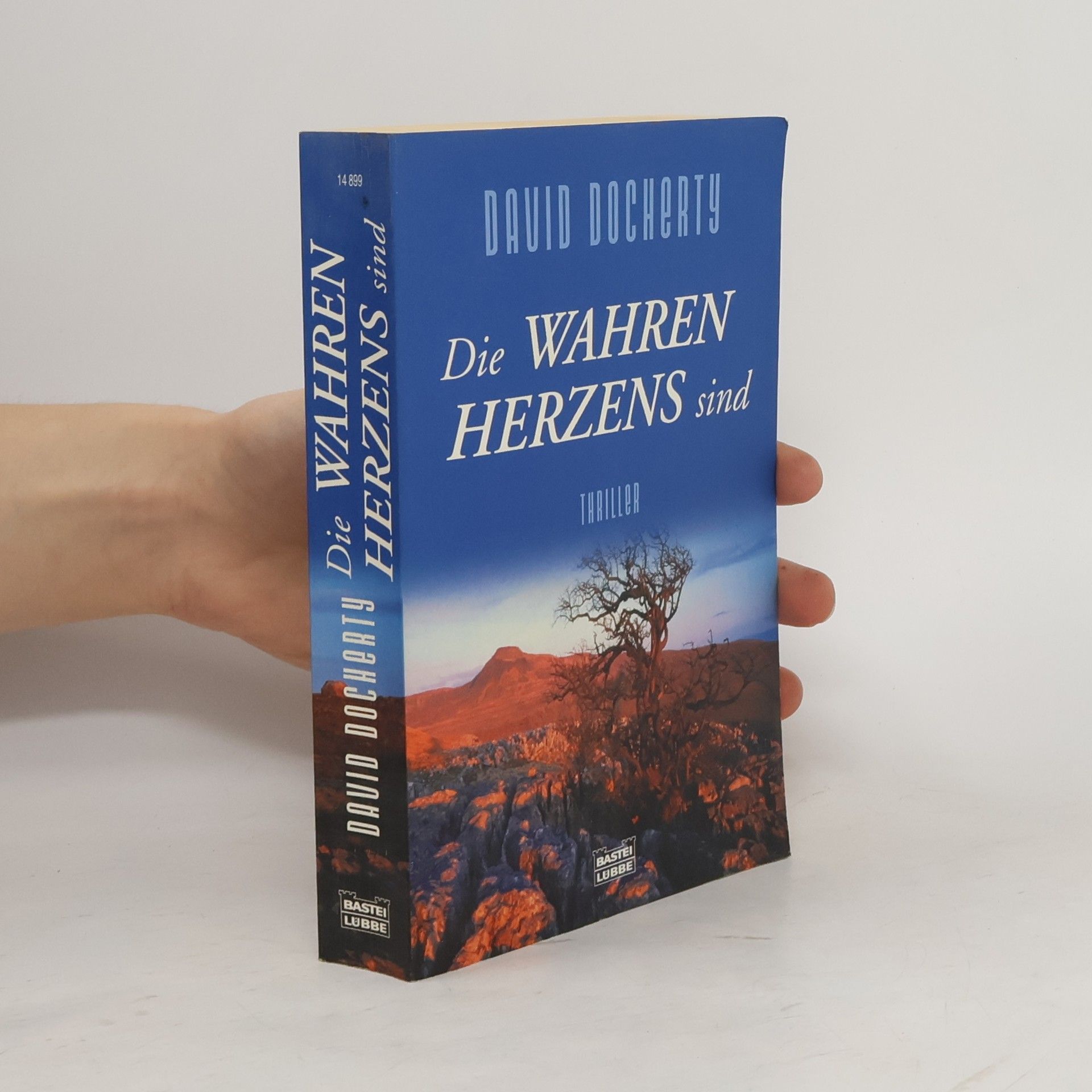 David Docherty Die wahren Herzens sind. Thriller