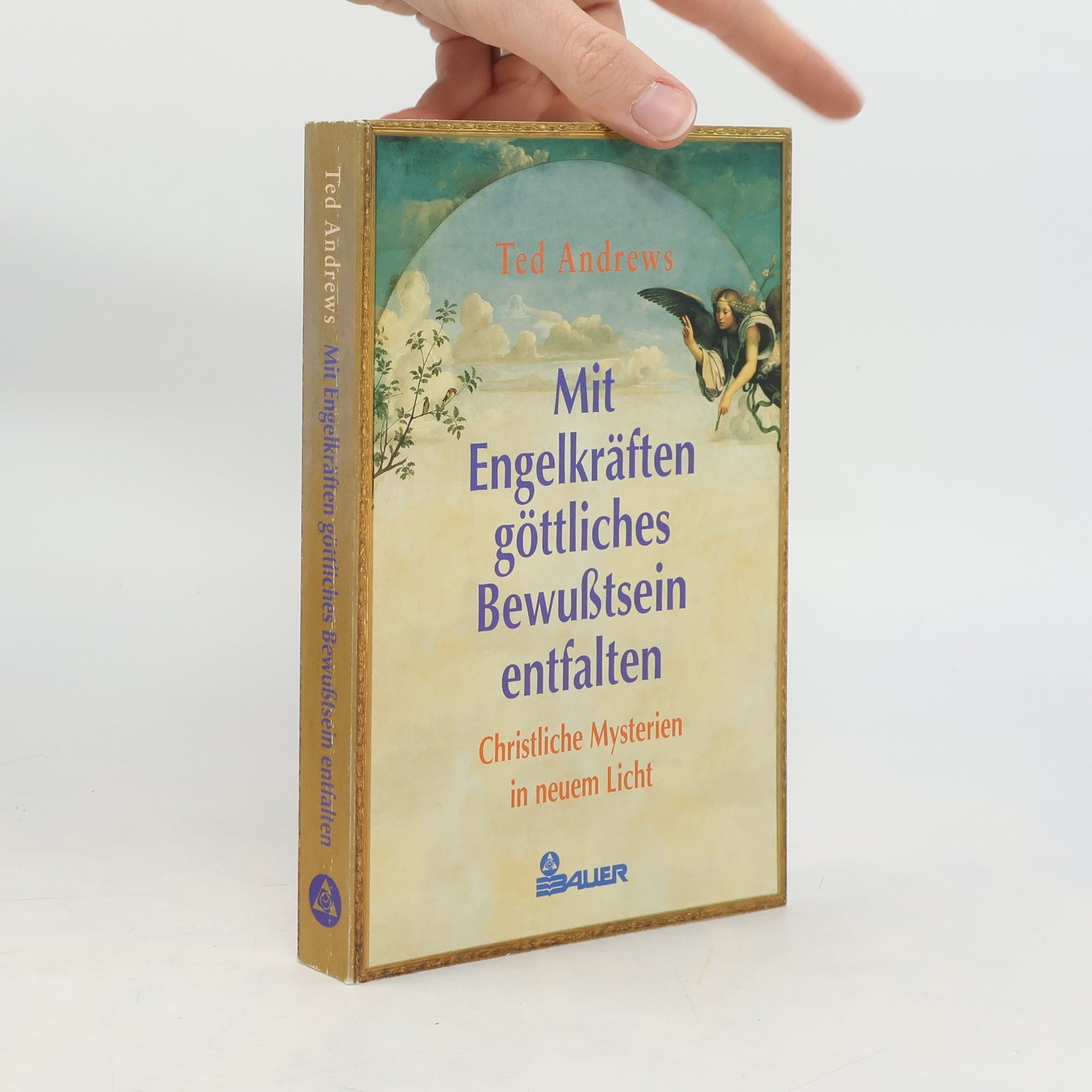 Ted Andrews Mit Engelkräften göttliches Bewußtsein entfalten