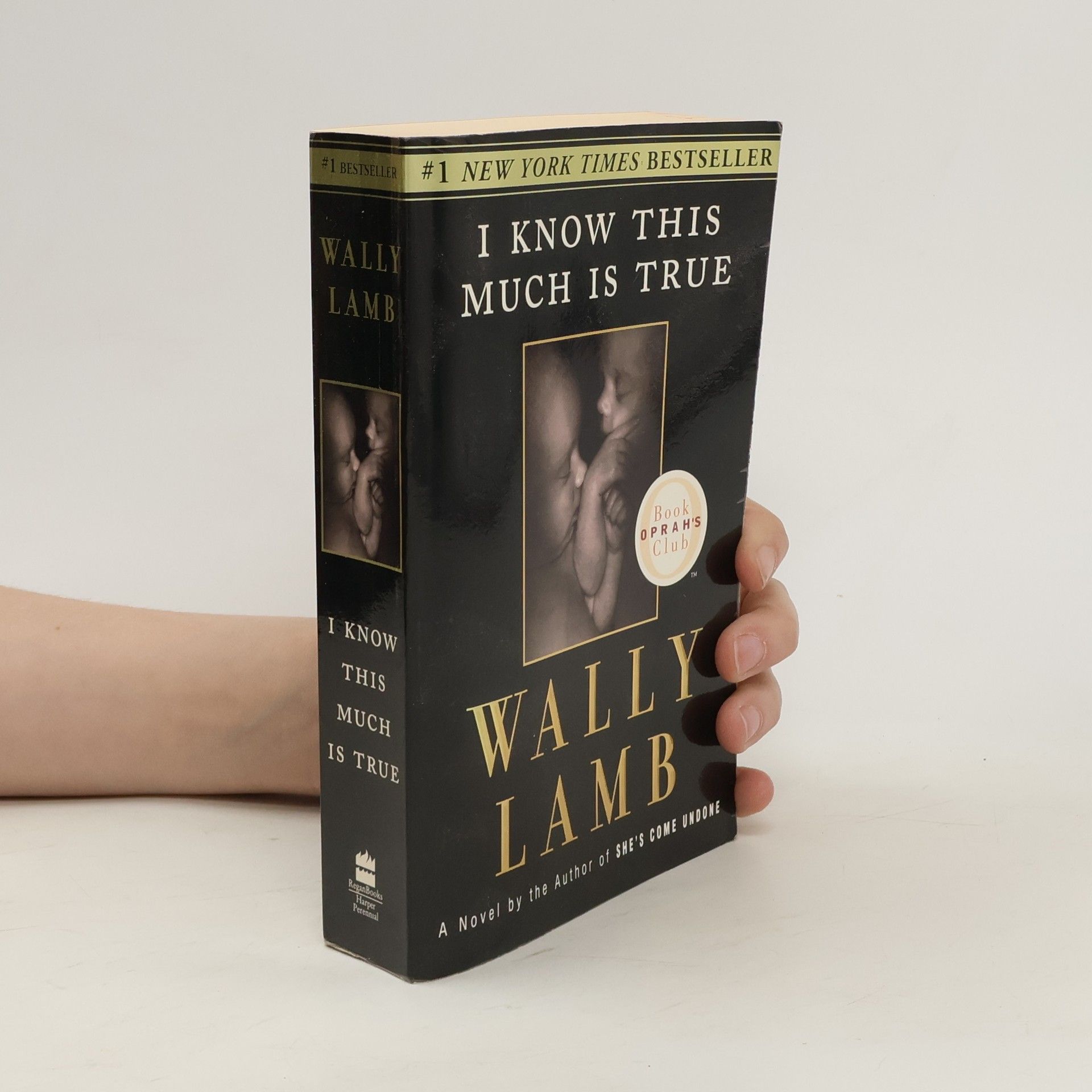 Wally Lamb I know this much is true