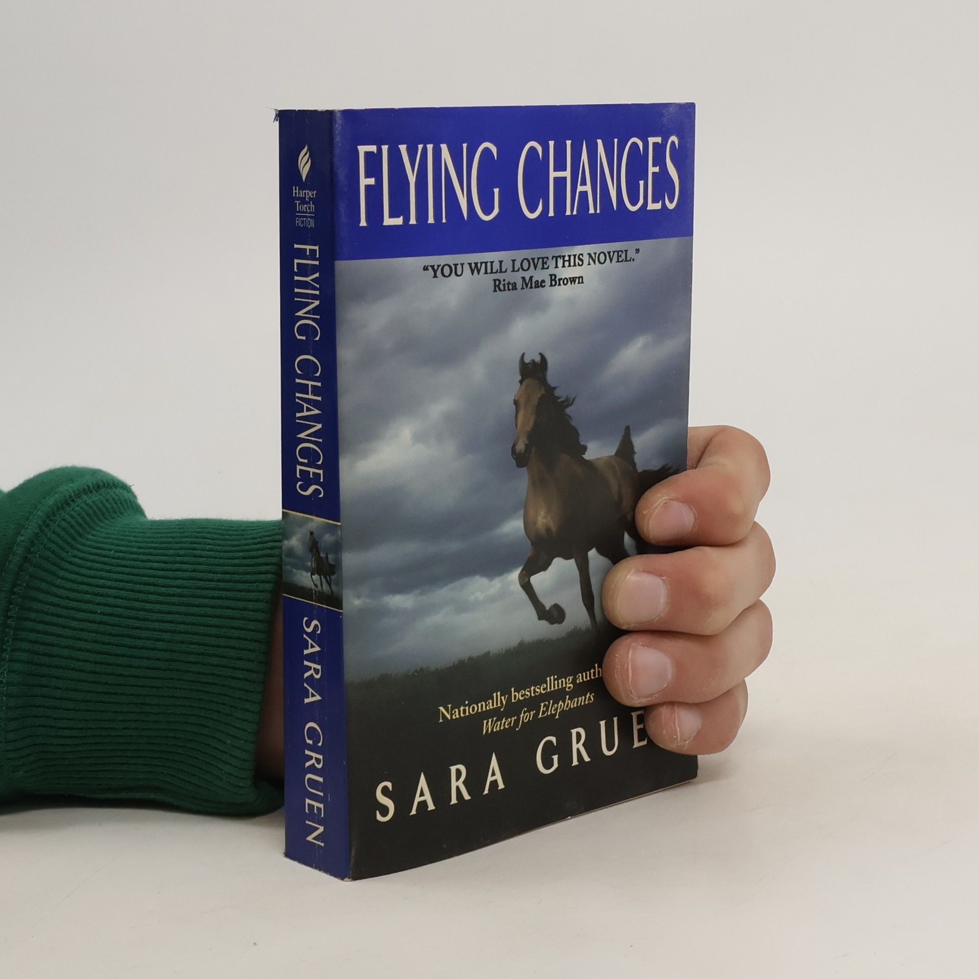 Sara Gruen Flying Changes