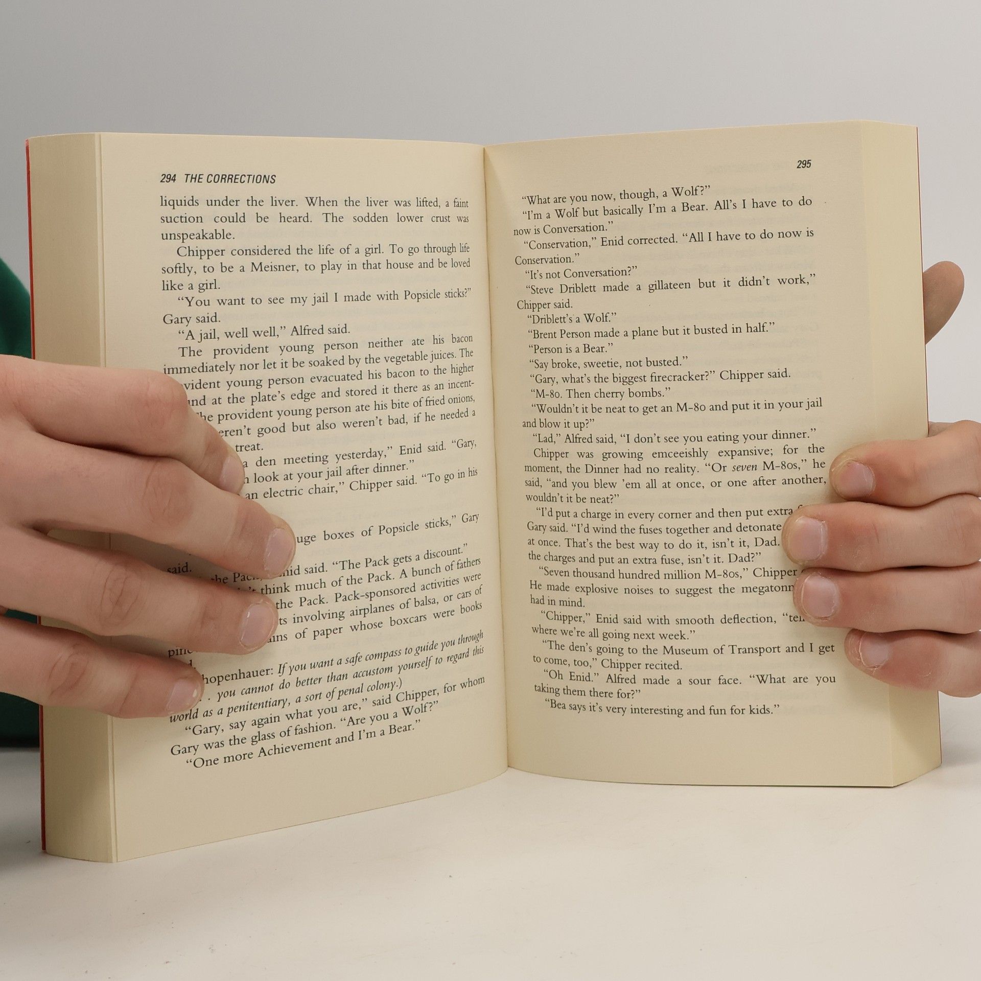 Jonathan Franzen The Corrections