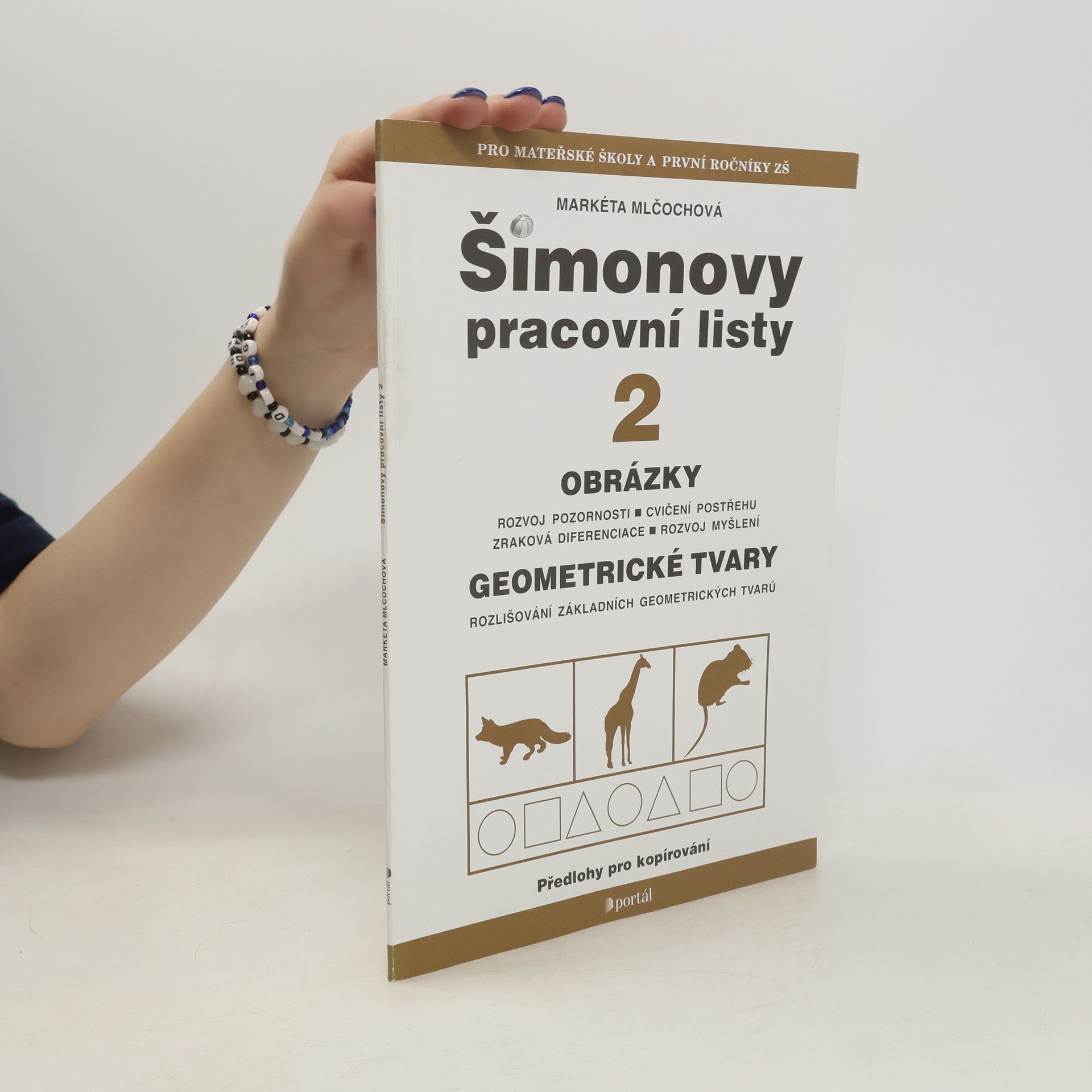 Markéta Mlčochová ŠPL2-Obrázky, geometrické tvary