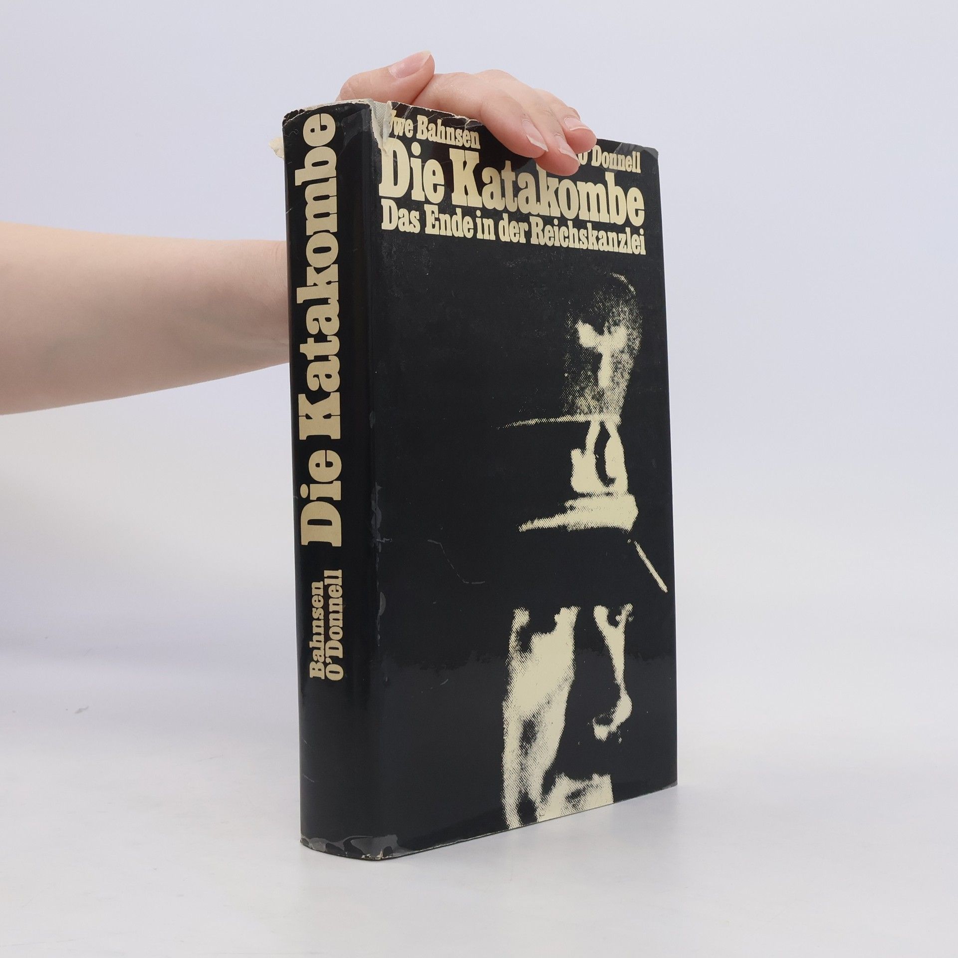 James P. O. Donnell Die Katakombe. Das Ende in der Reichskanzlei