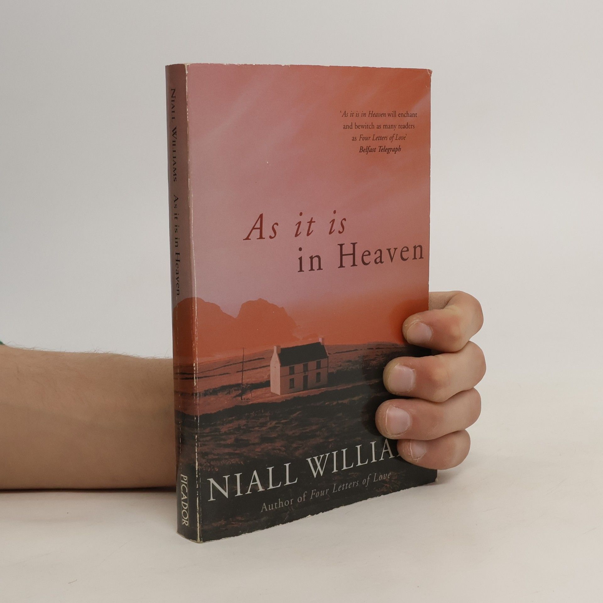Niall Williams As It Is in Heaven