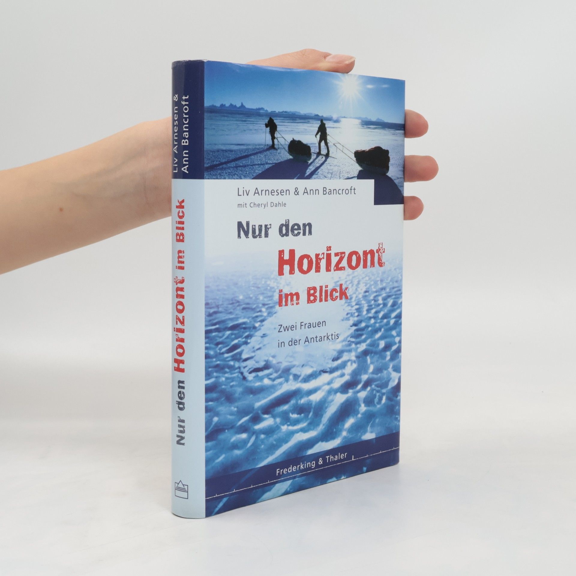 Liv Arnesen Nur den Horizont im Blick