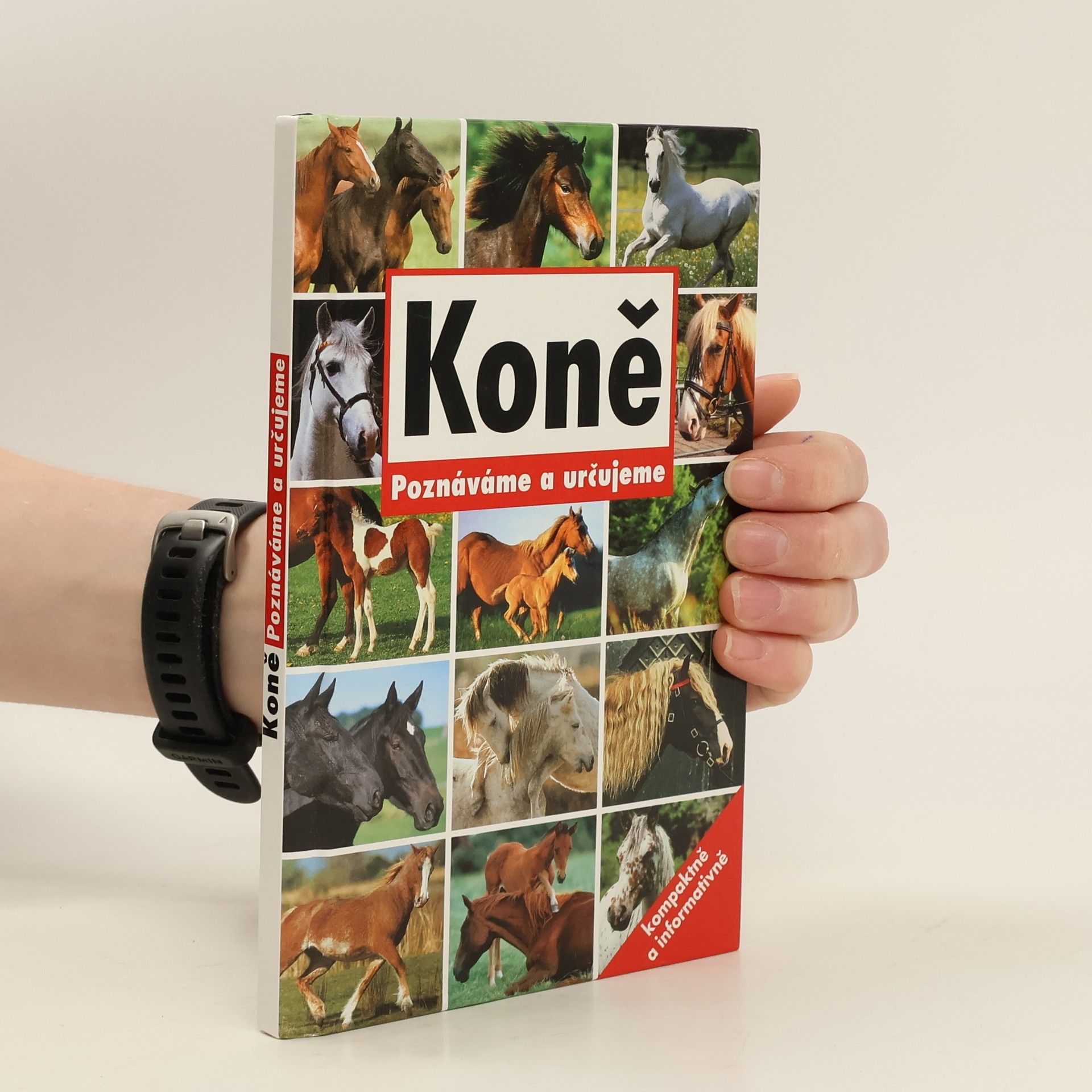 Kolektiv autorů Koně. Poznáváme a určujeme