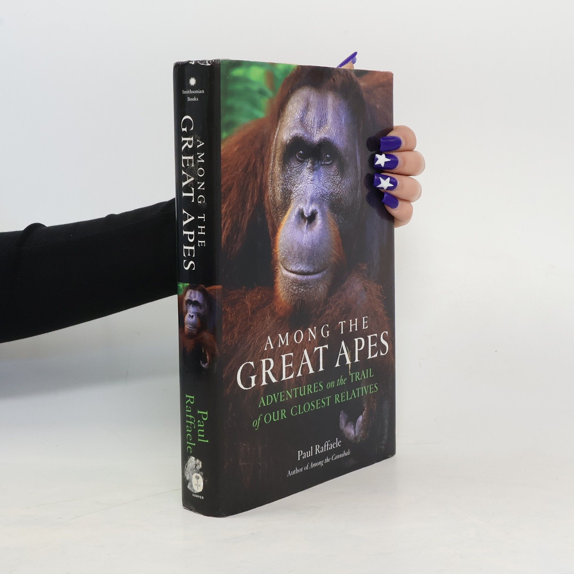 Paul Raffaele Among the Great Apes