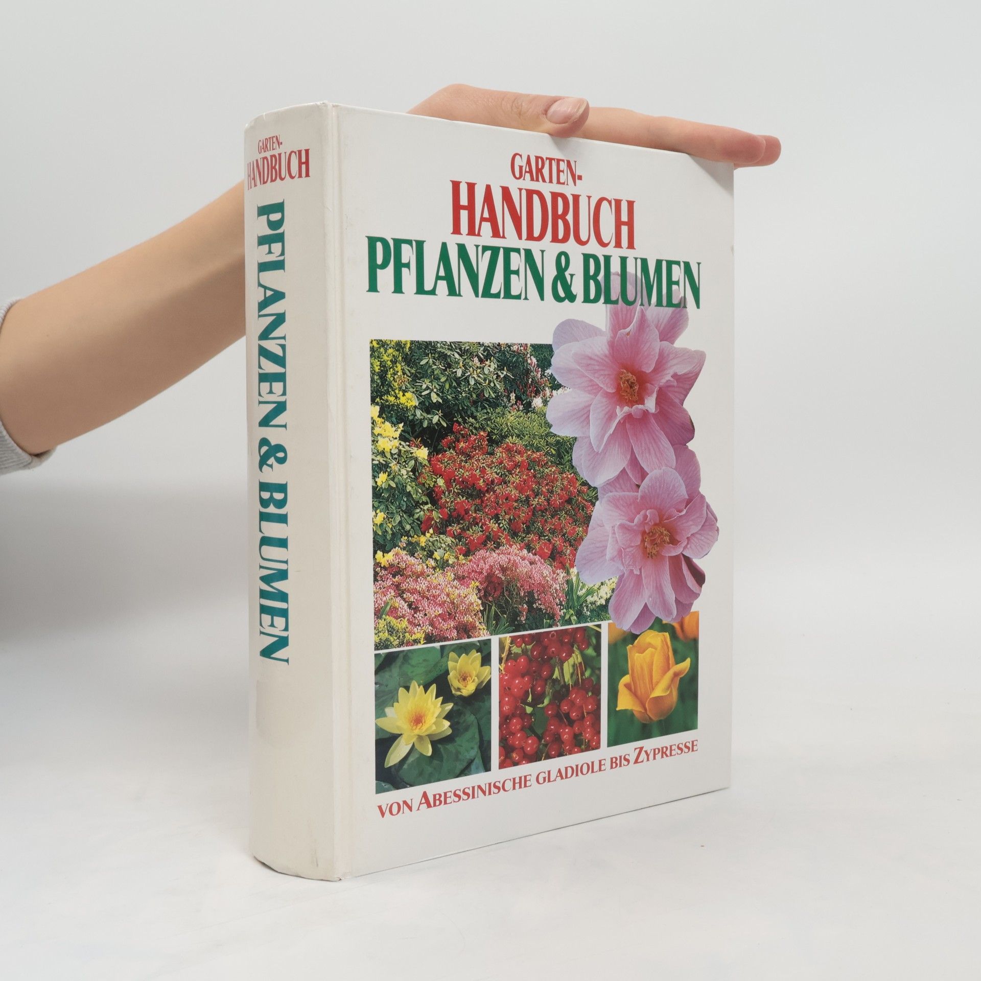 Autorenkollektiv Garten-Handbuch Pflanzen & Blumen