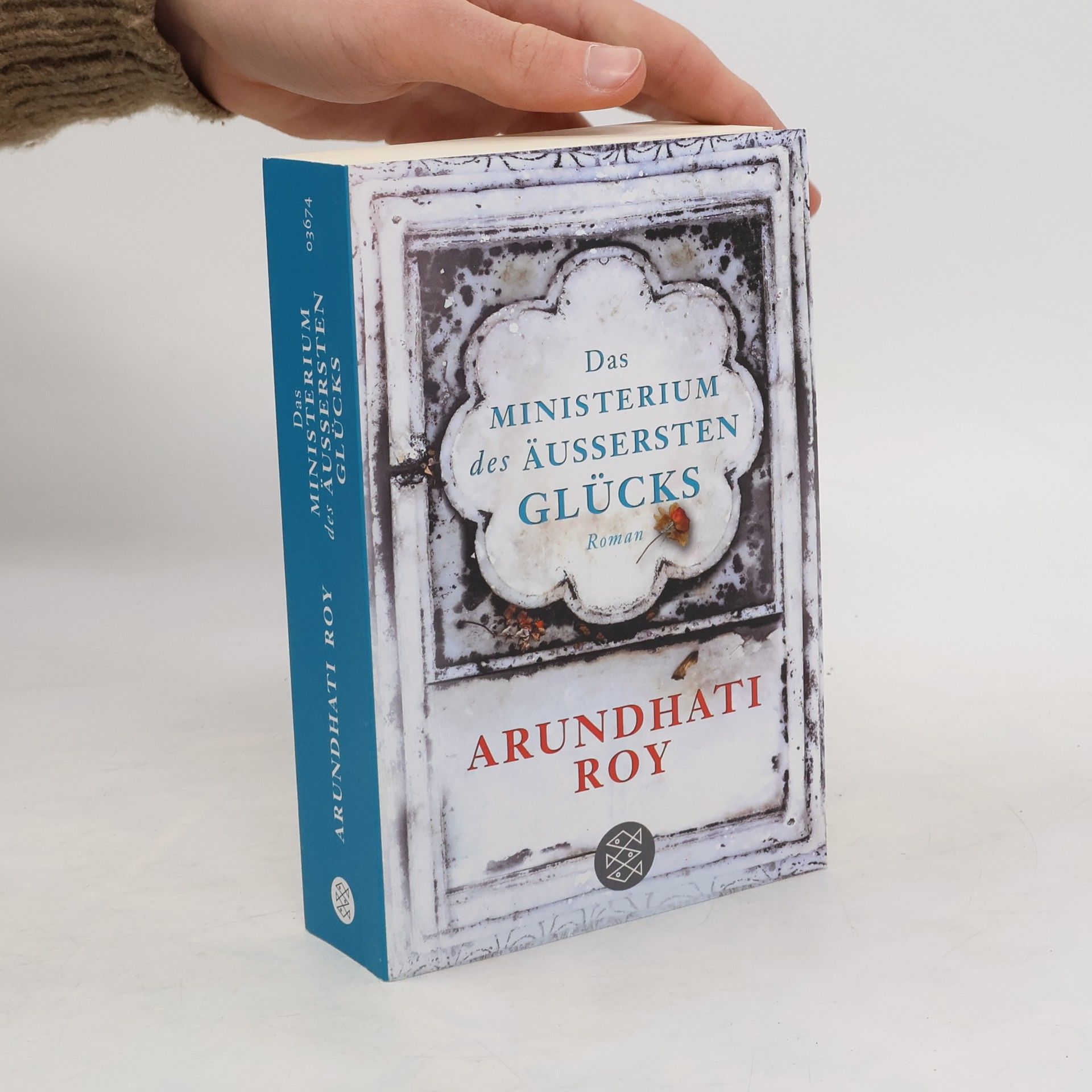 Arundhati Roy Das Ministerium des äußersten Glücks
