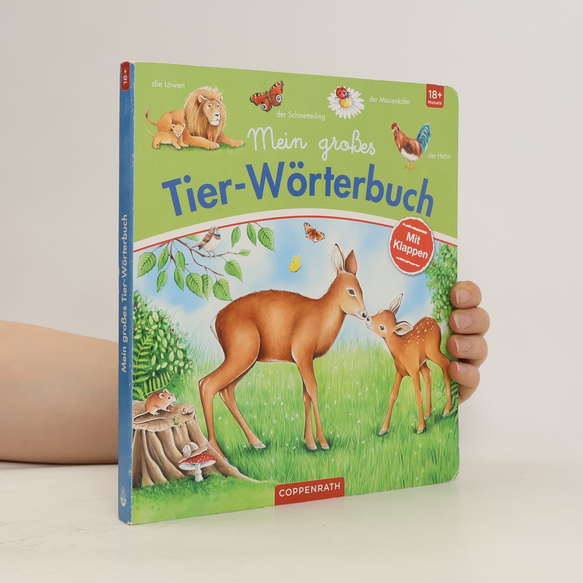 Tina Frankenstein-Börlin Mein großes Tier-Wörterbuch