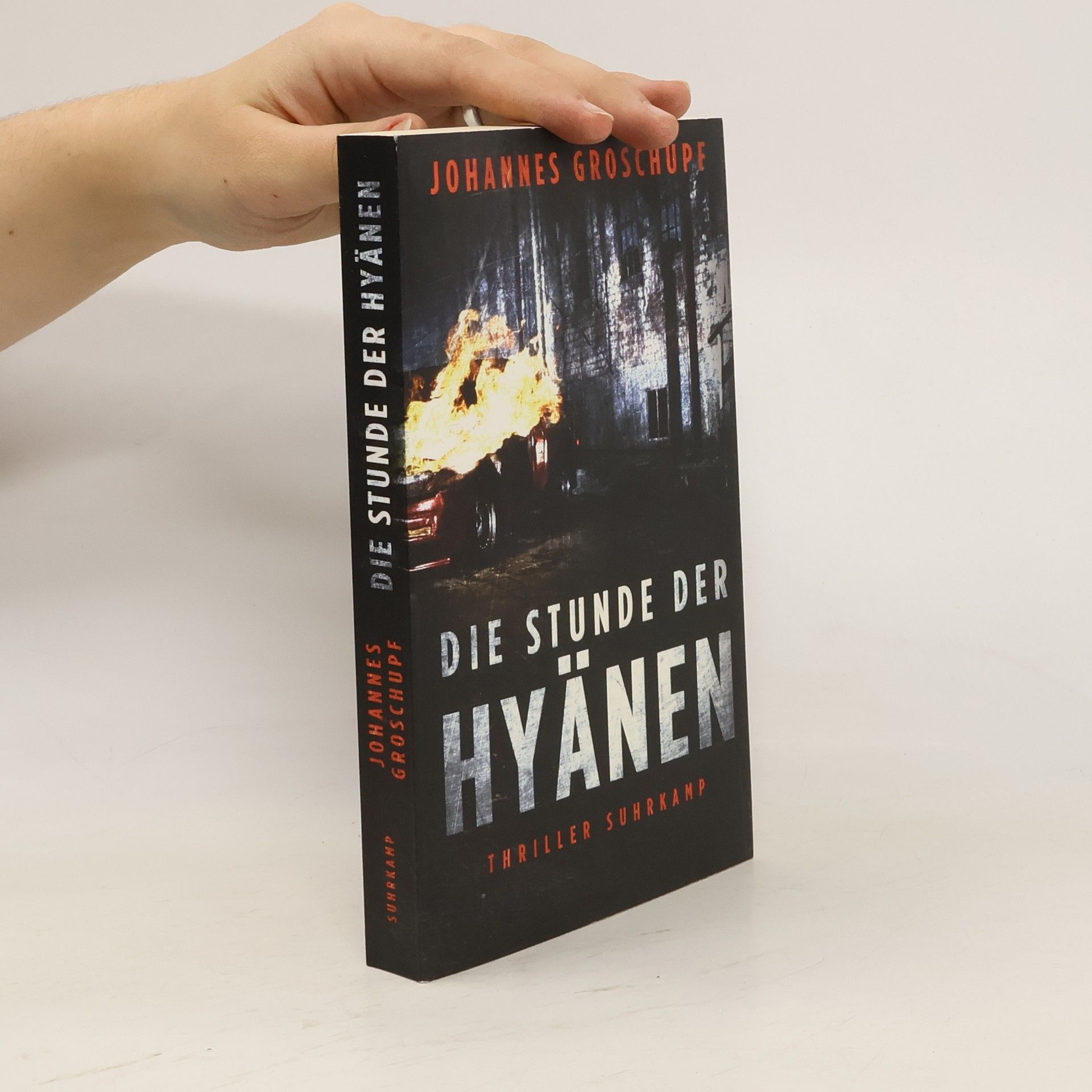 Johannes Groschupf Die Stunde der Hyänen