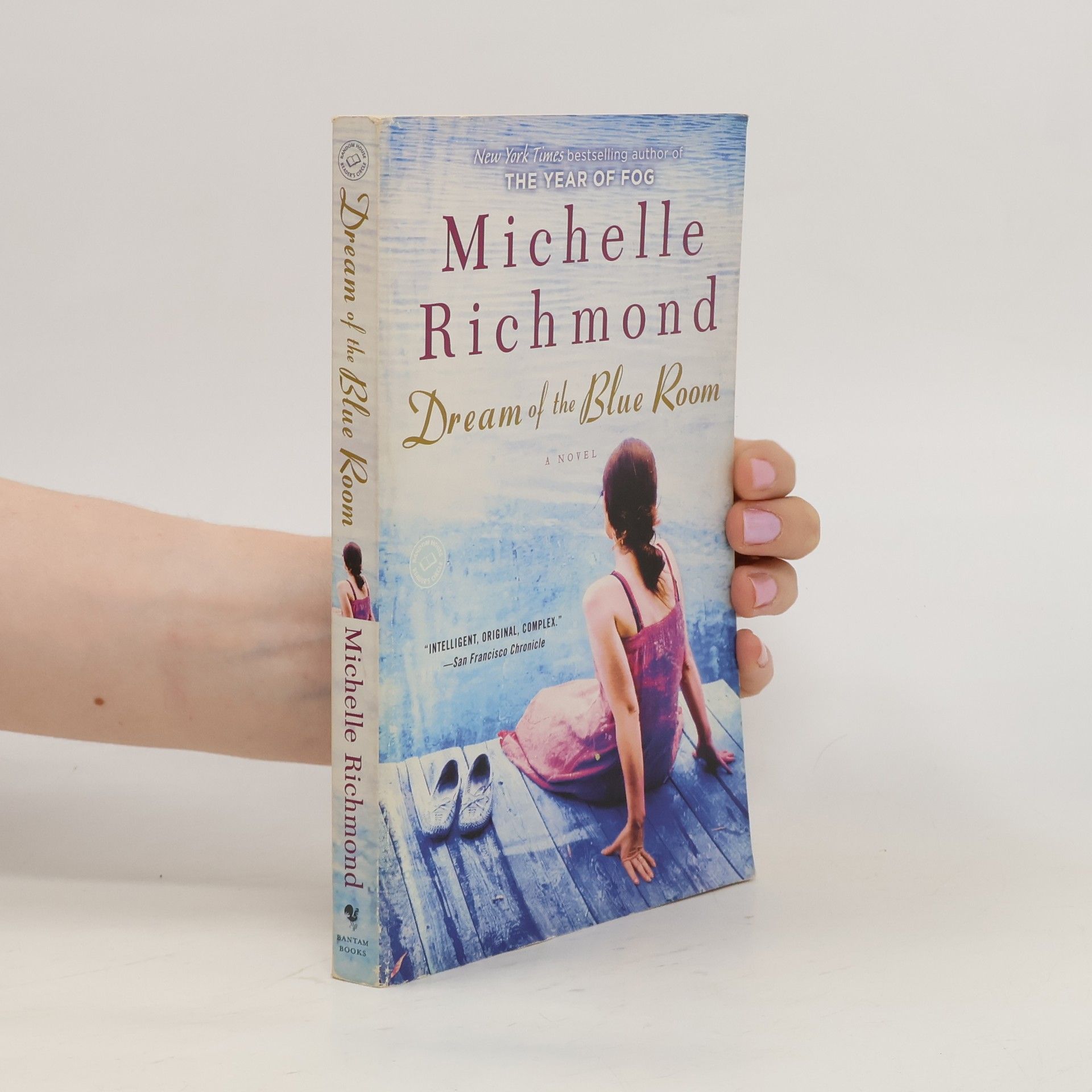 Michelle Richmond Dream of the Blue Room