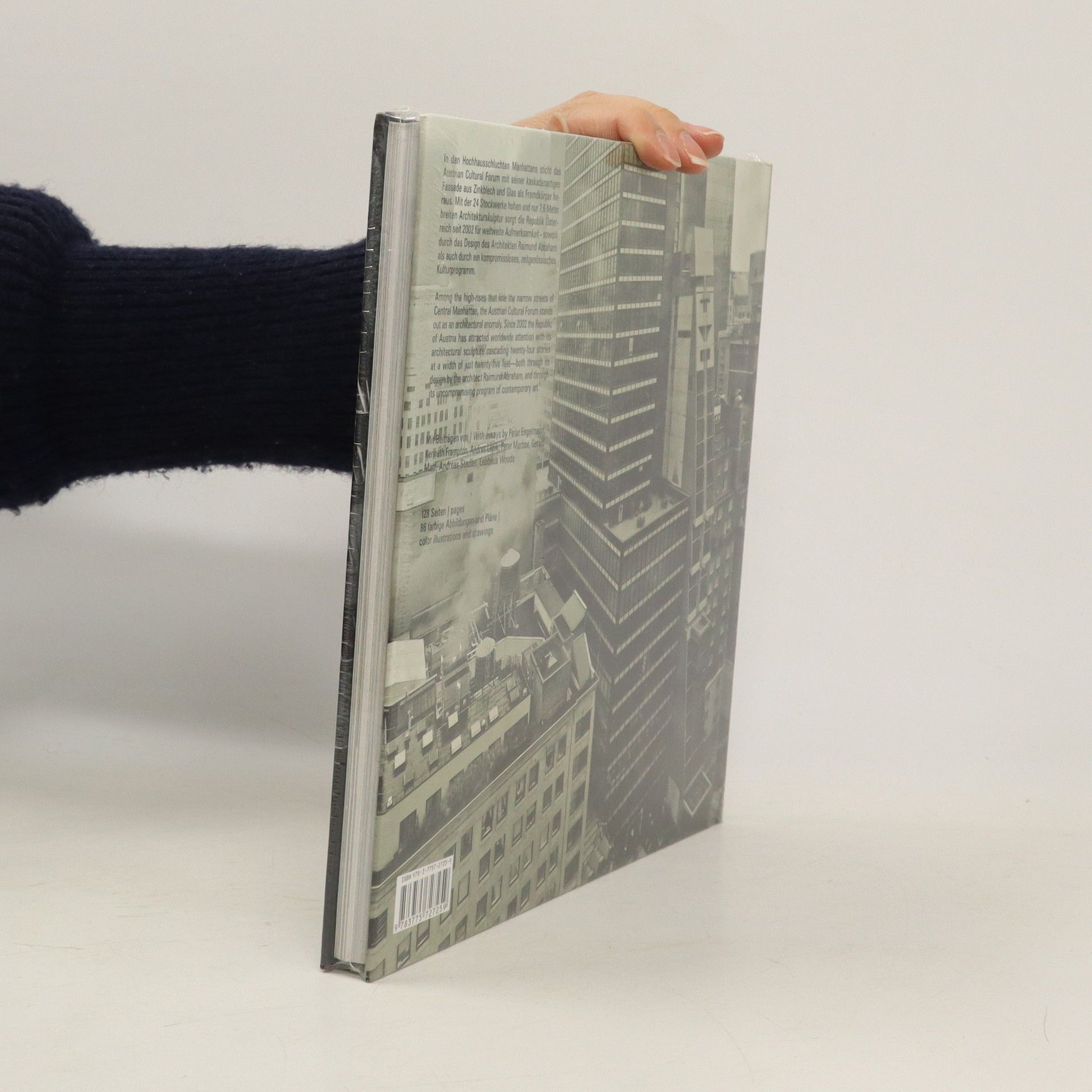 Andres Lepik Raimund Abraham & the Austrian Cultural Forum New York