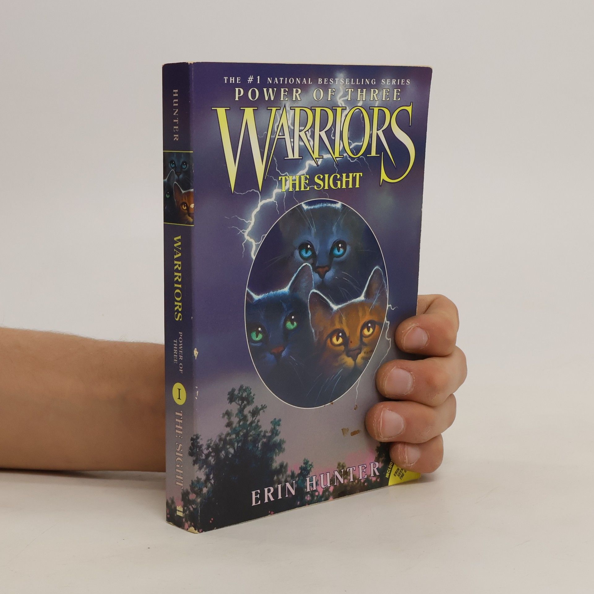 Erin Hunter Warriors, Power of Three The Sight