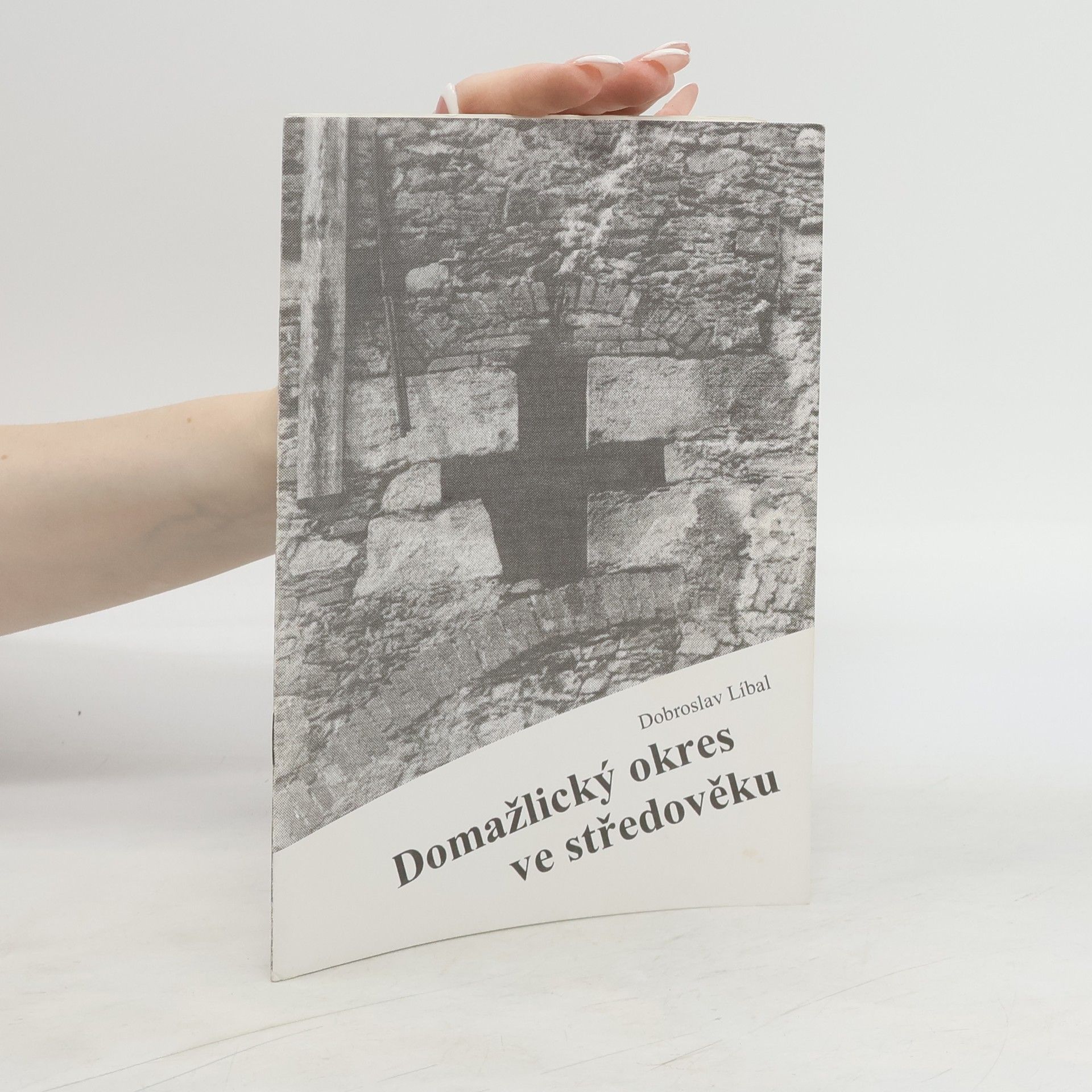 Dobroslav Líbal Domažlický okres ve středověku