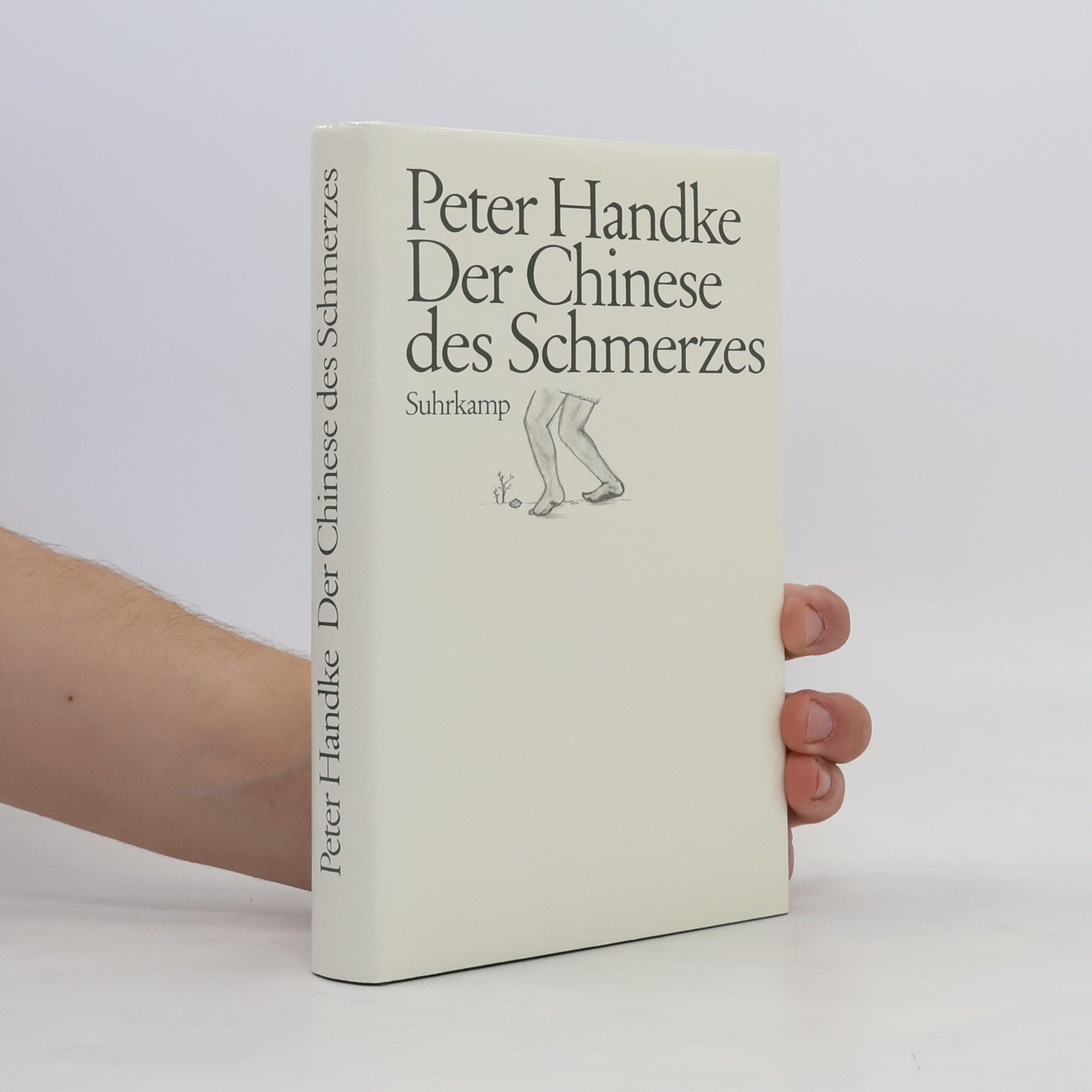 Peter Handke Der Chinese des Schmerzes
