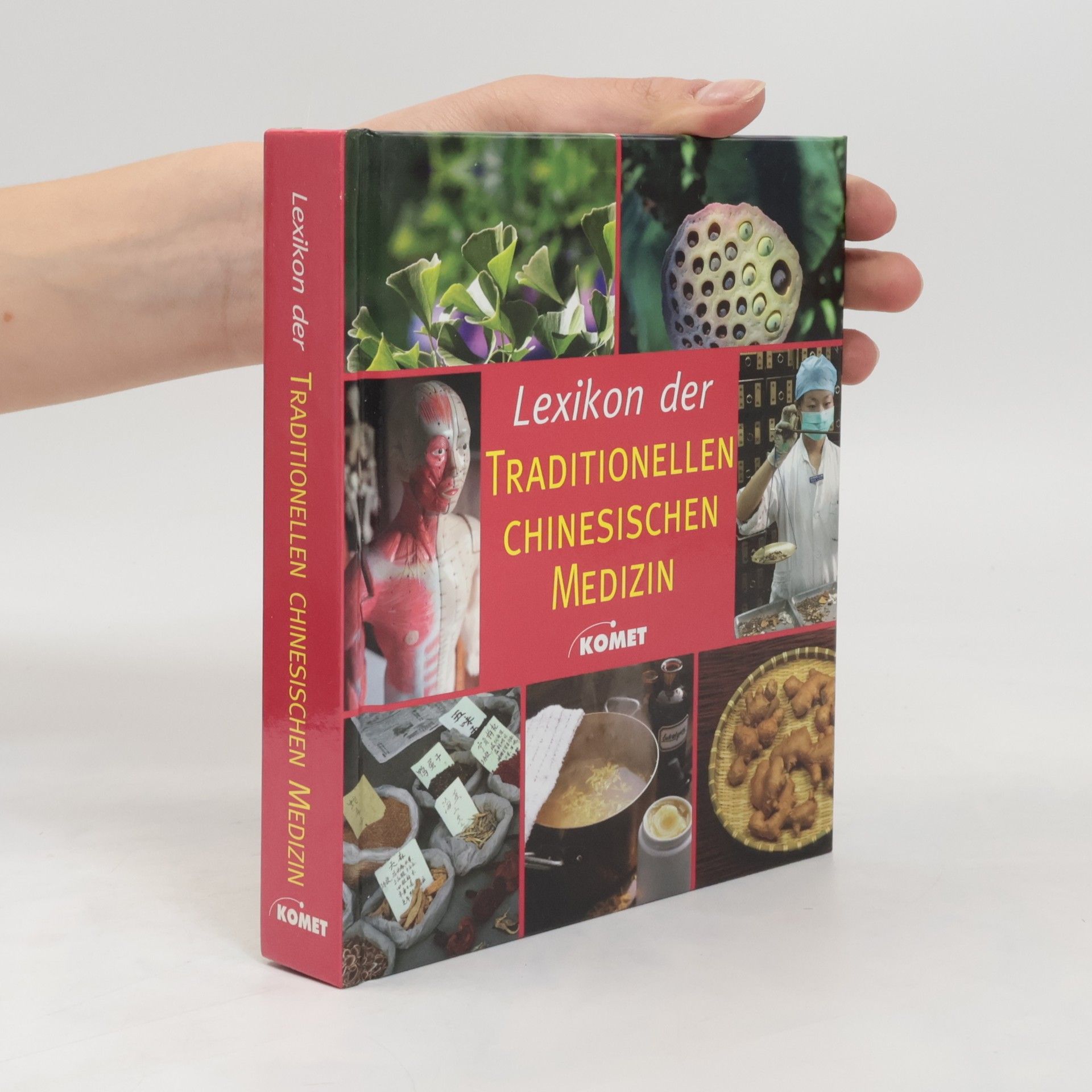 Autorenkollektiv Lexikon der Traditionellen Chinesischen Medizin