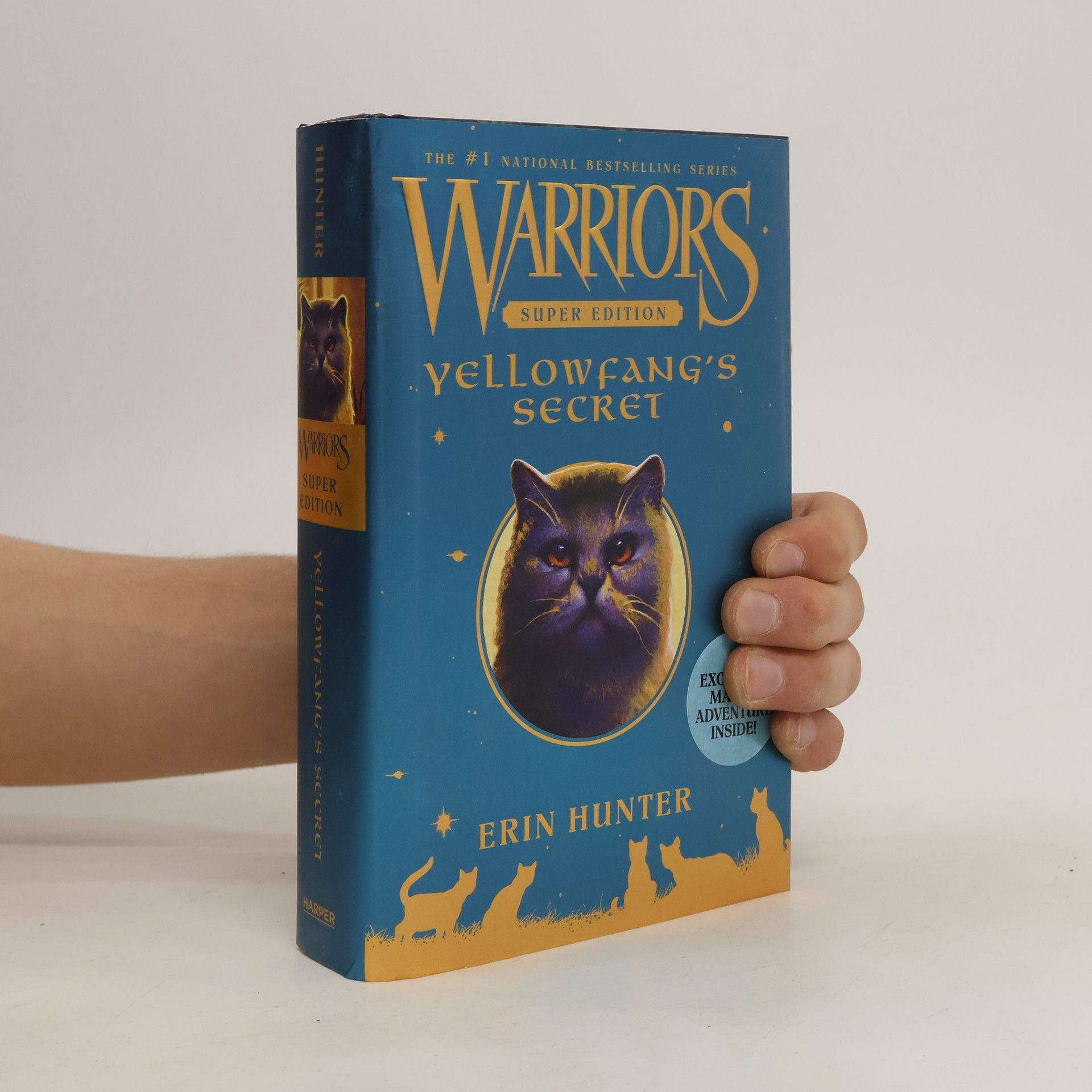 Erin Hunter Yellowfang's Secret