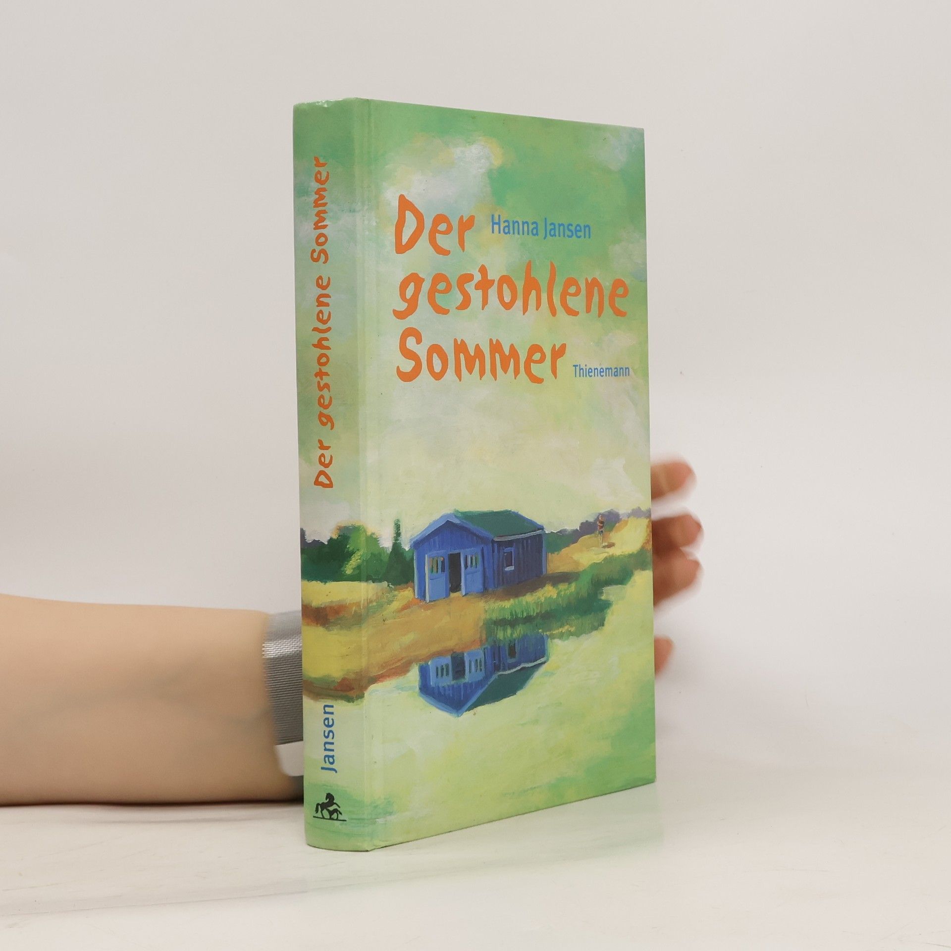 Hanna Jansen Der gestohlene Sommer