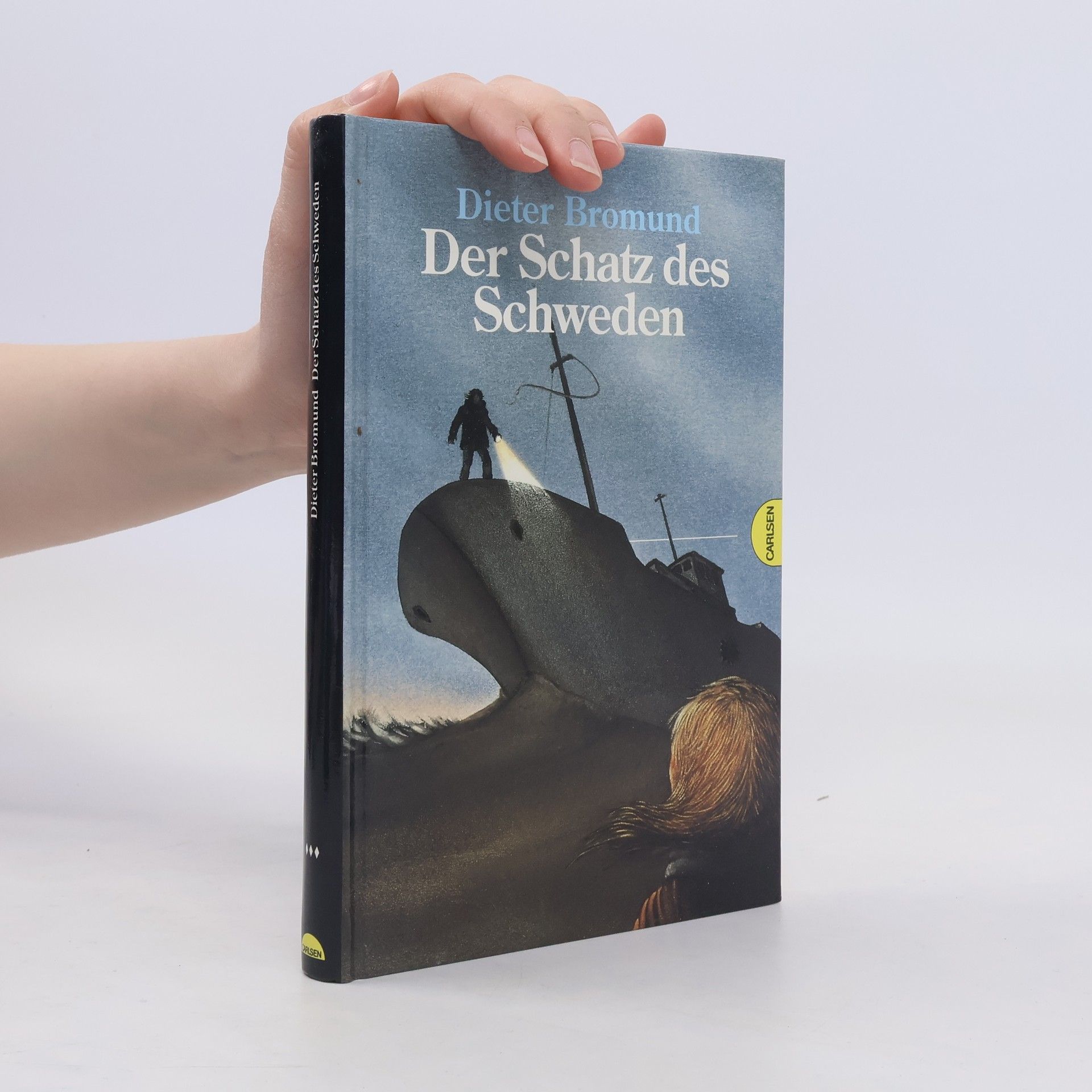 Dieter Bromund Der Schatz des Schweden