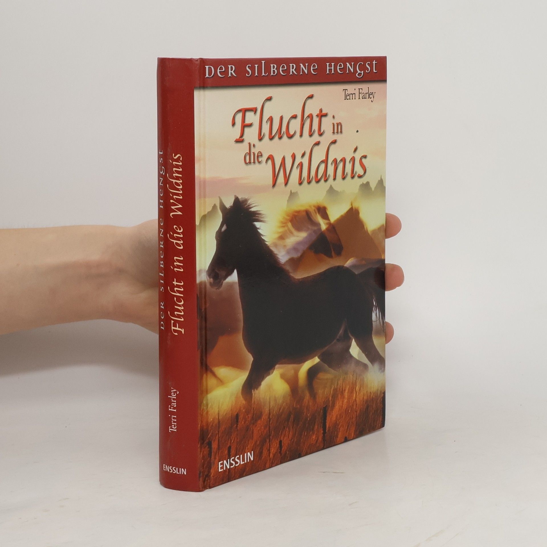 Terri Farley Flucht in die Wildnis