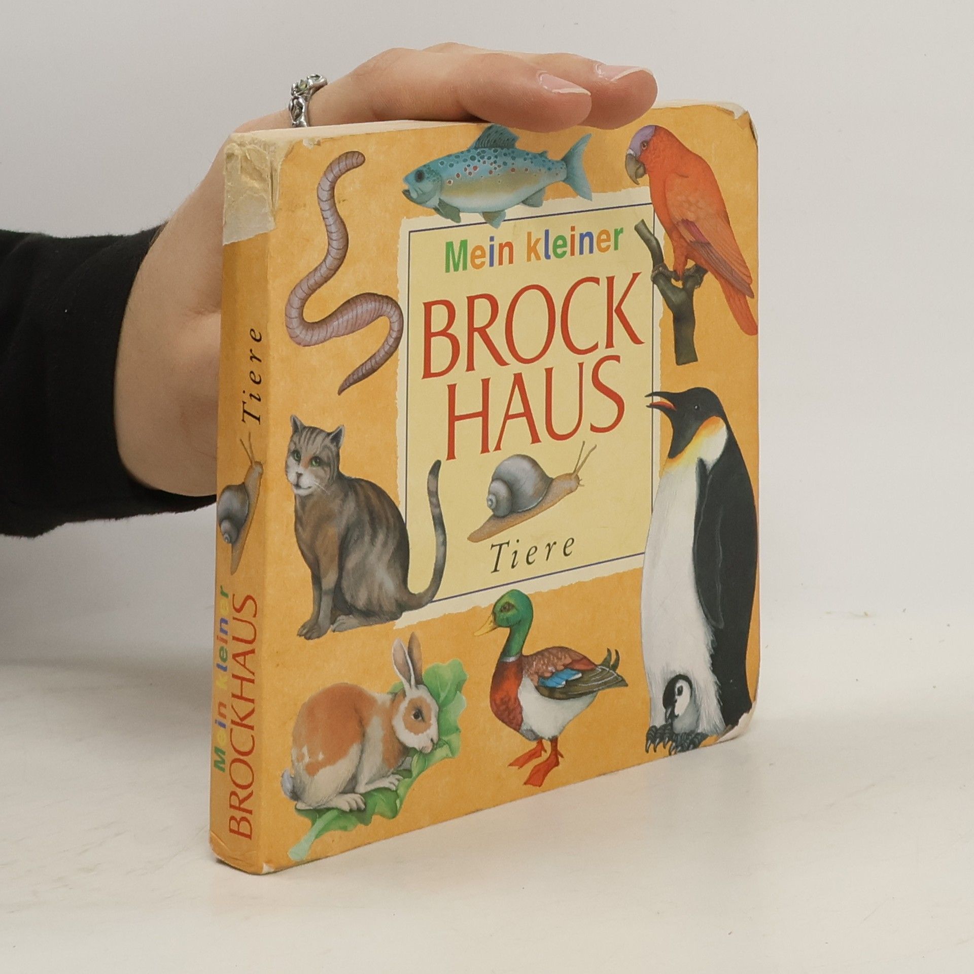 AA.VV. Mein kleiner Brockhaus