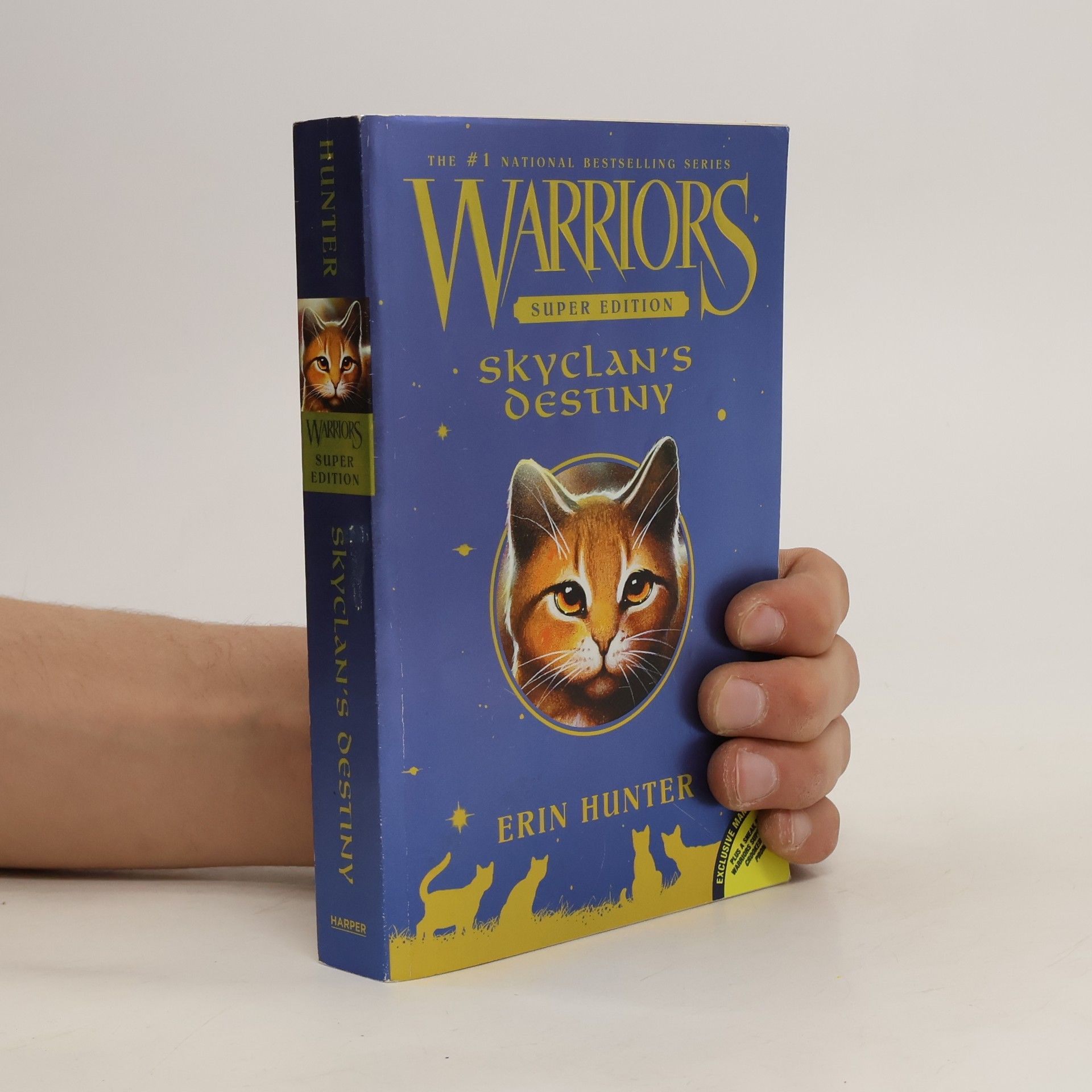 Erin Hunter Warriors, Super Edition, SkyClan's Destiny
