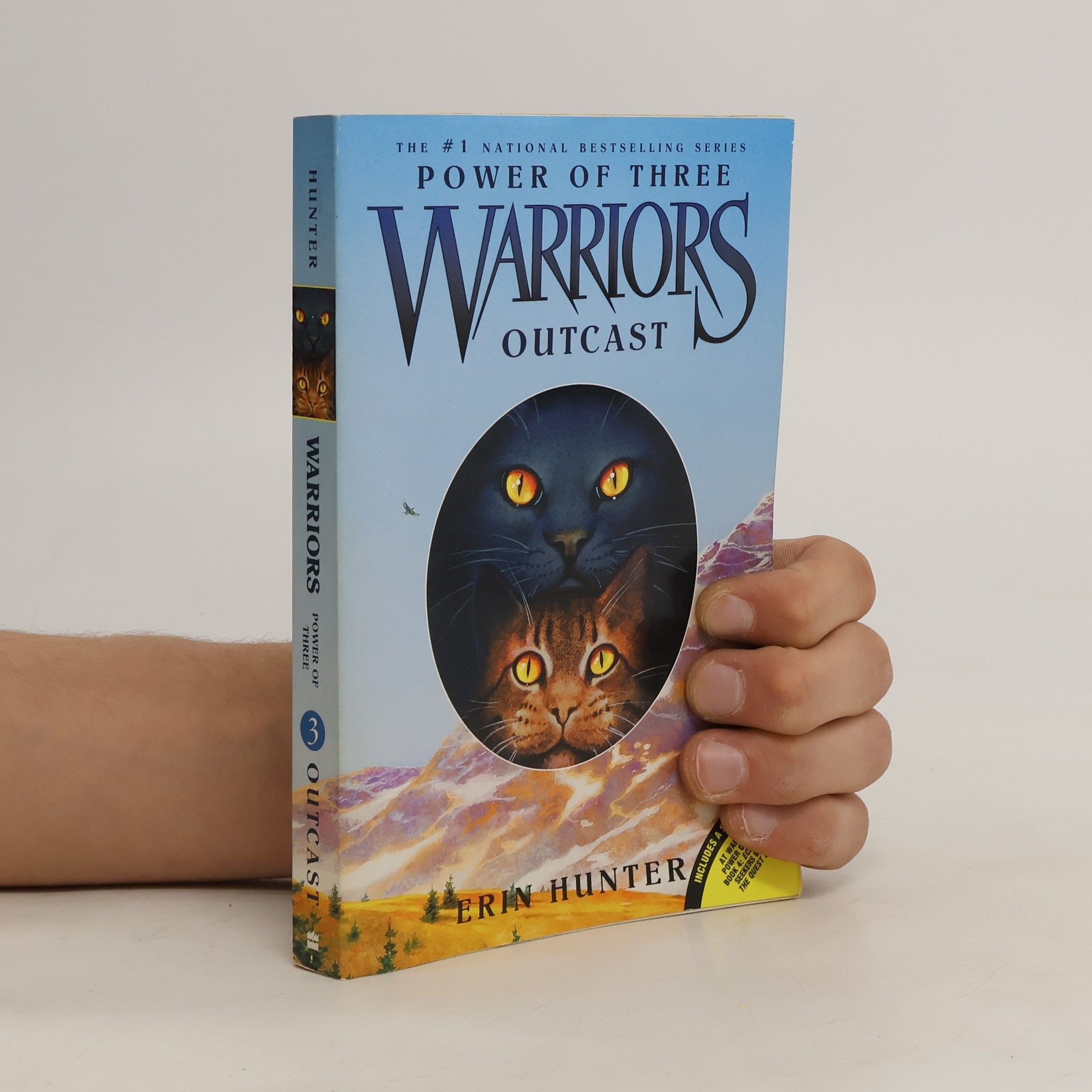Erin Hunter Warriors: Power of Three #3: Outcast