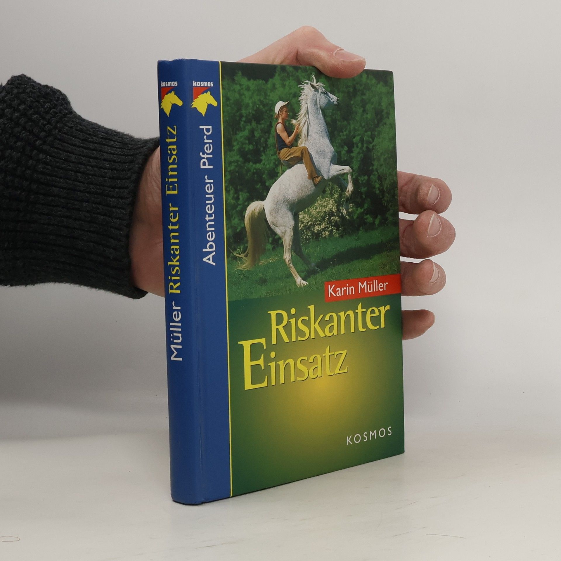 Karin Müller Riskanter Einsatz