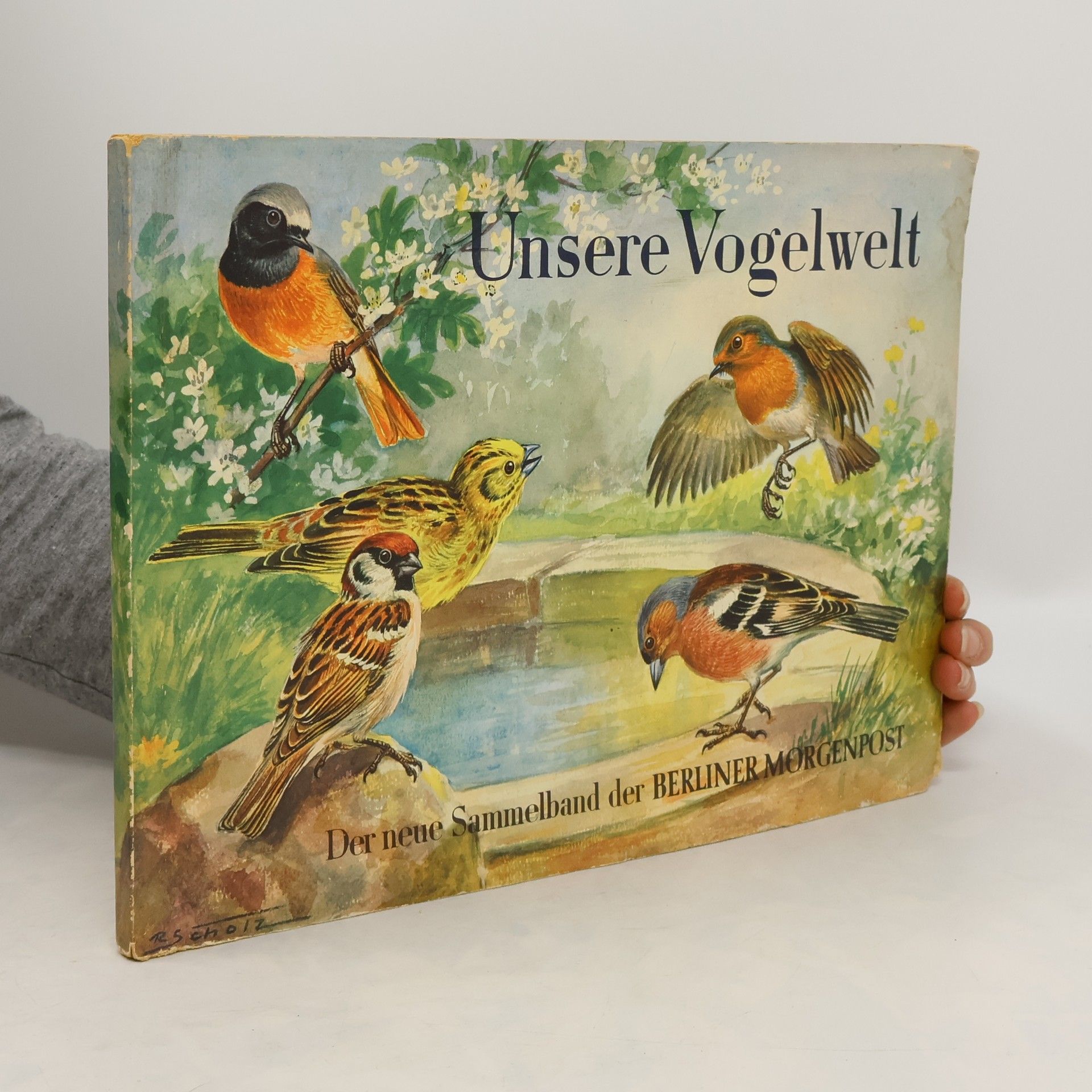 Auteurscollectief Unser Vogelwelt