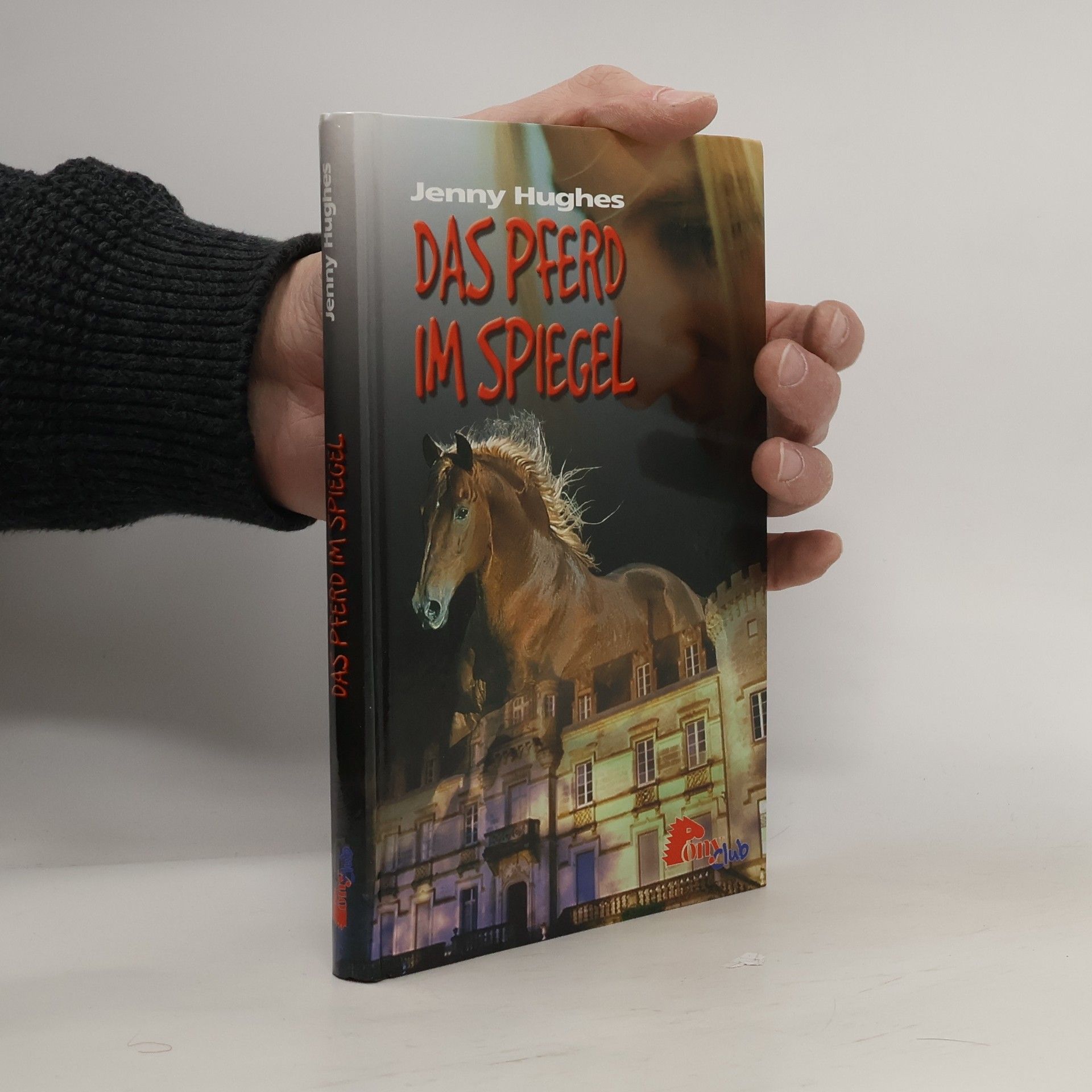 Jenny Hughes Das Pferd im Spiegel
