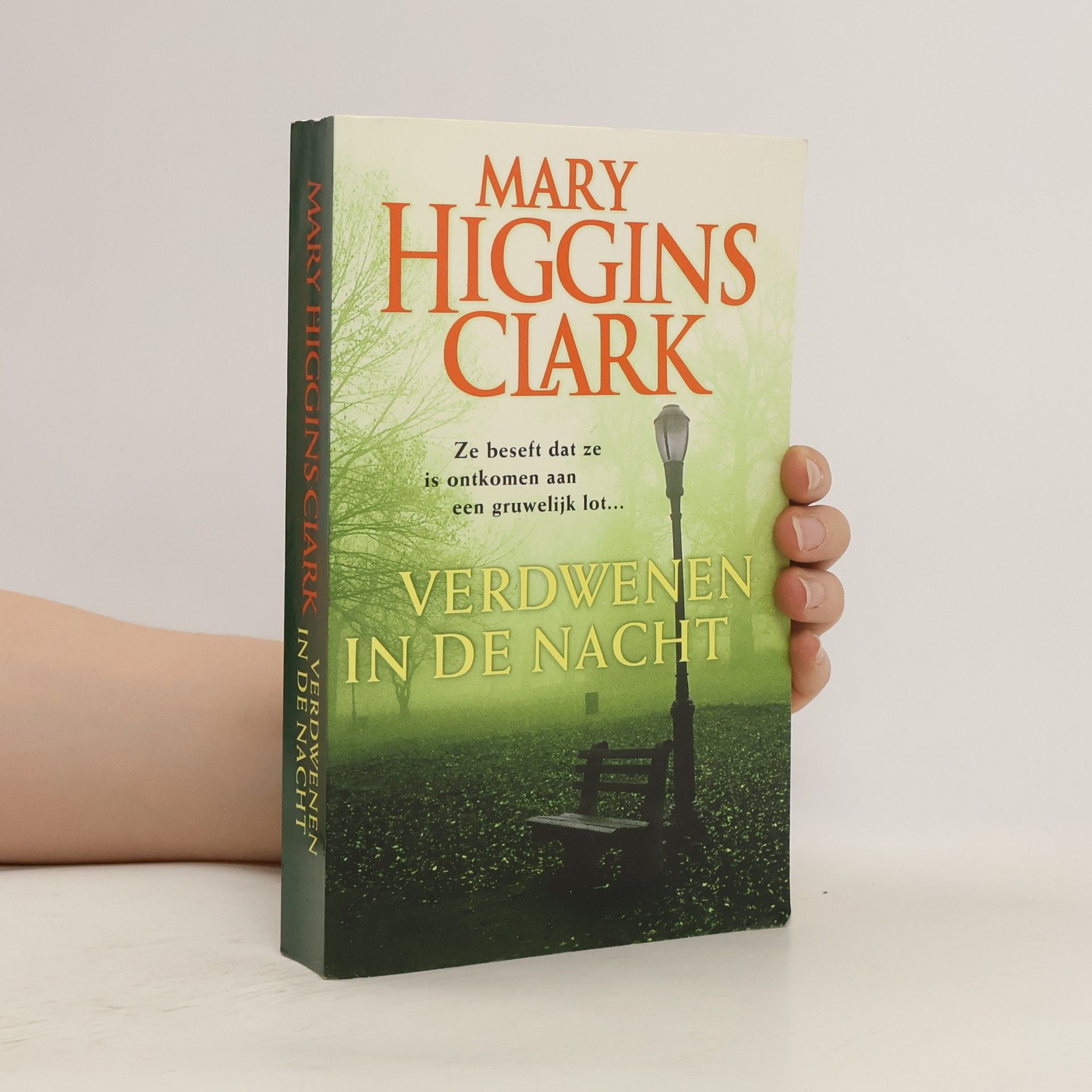 Mary Higgins Clark Verdwenen in de Nacht