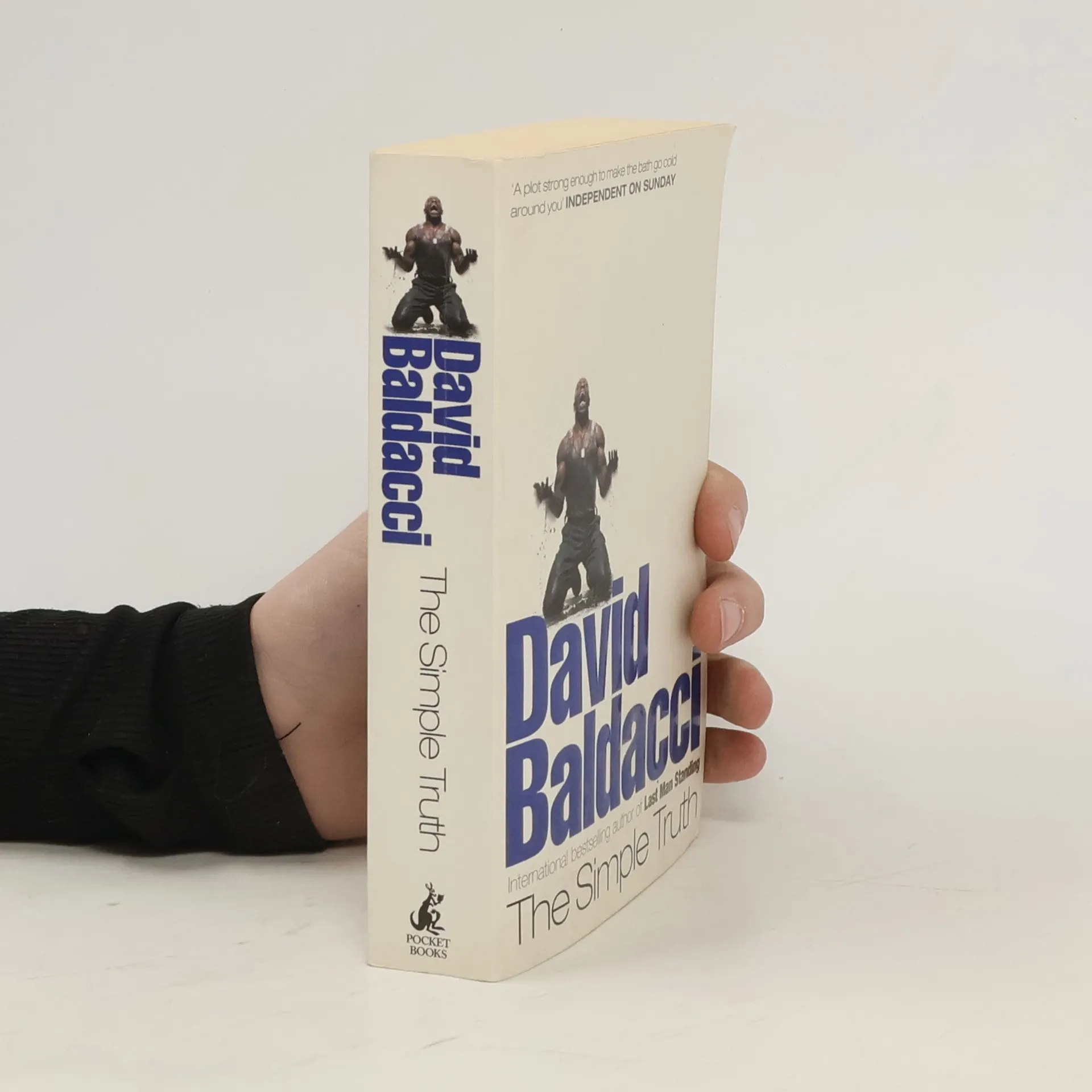 The Simple Truth | Book | David Baldacci | EN