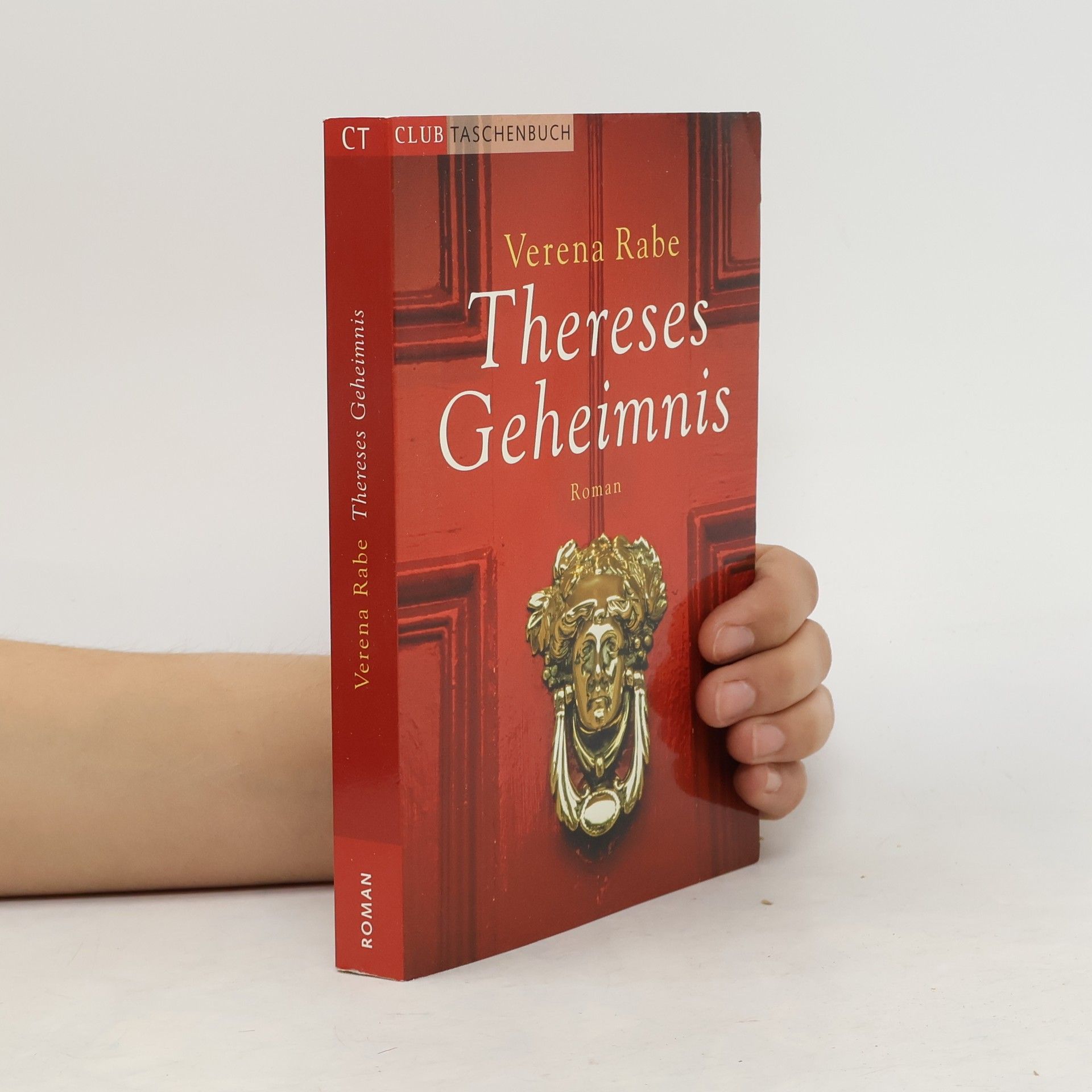 Verena Rabe Thereses Geheimnis