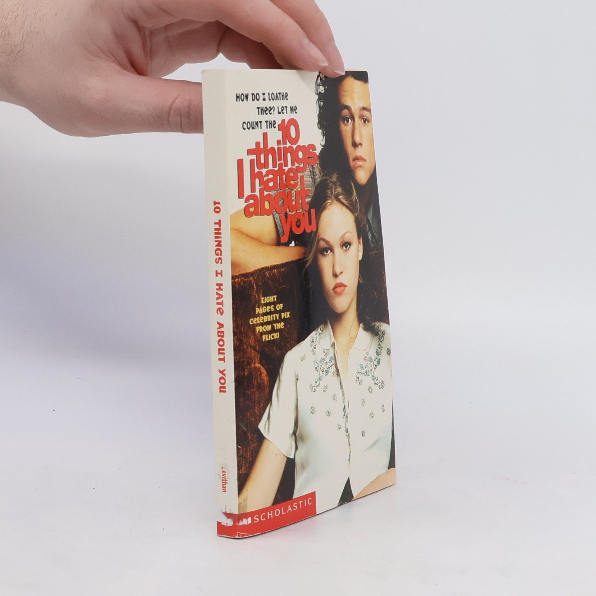 David Levithan 10 Things I Hate about You