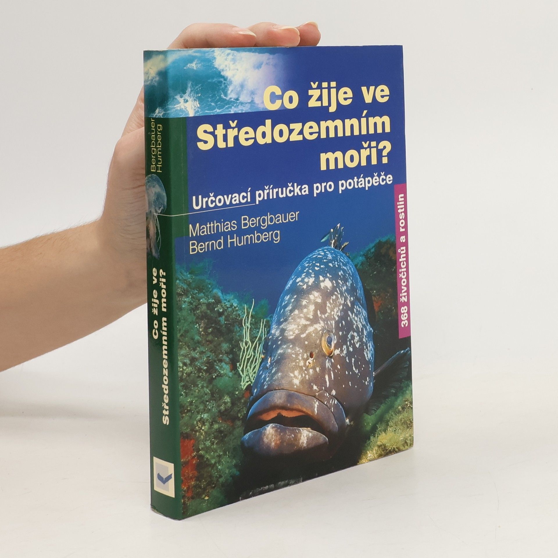 Matthias Bergbauer Co žije ve Středozemním moři?