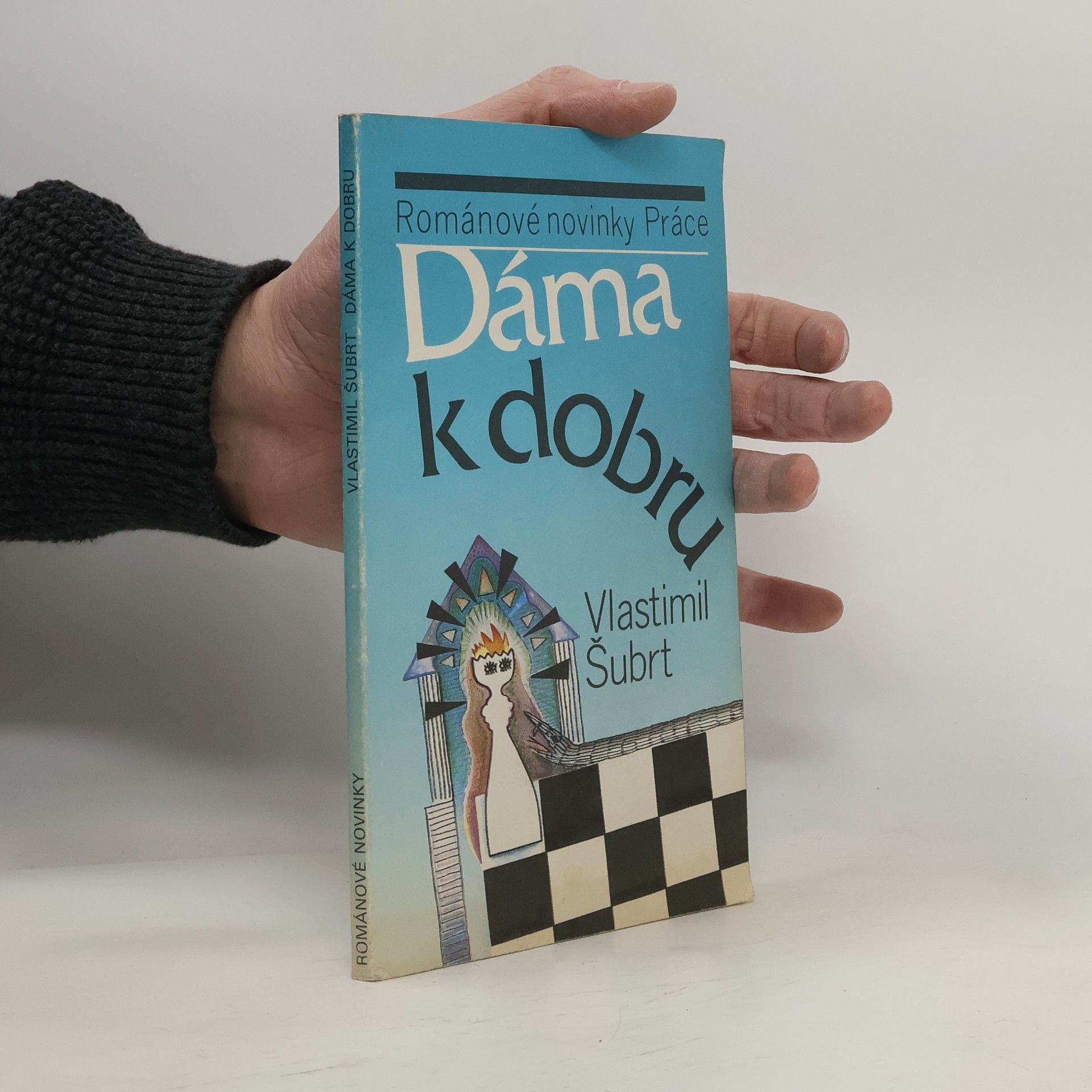 Vlastimil Šubrt Dáma k dobru