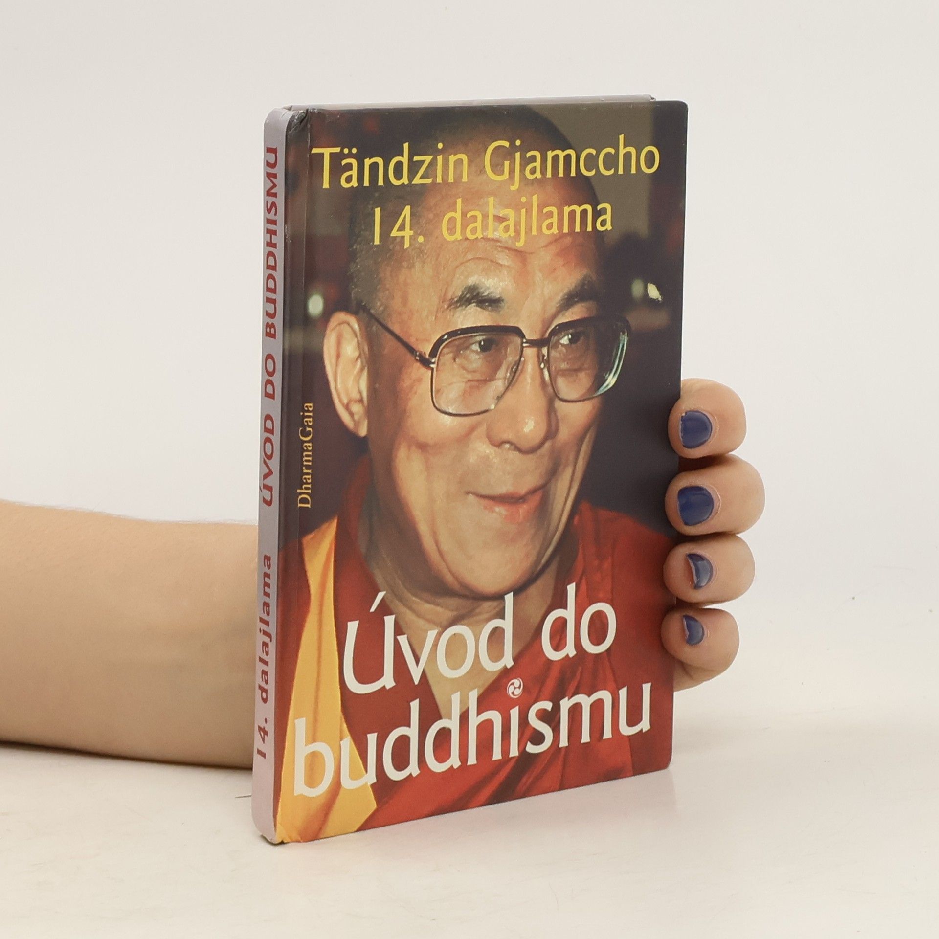 Bstan\'dzinrgyamtsho Úvod do buddhismu