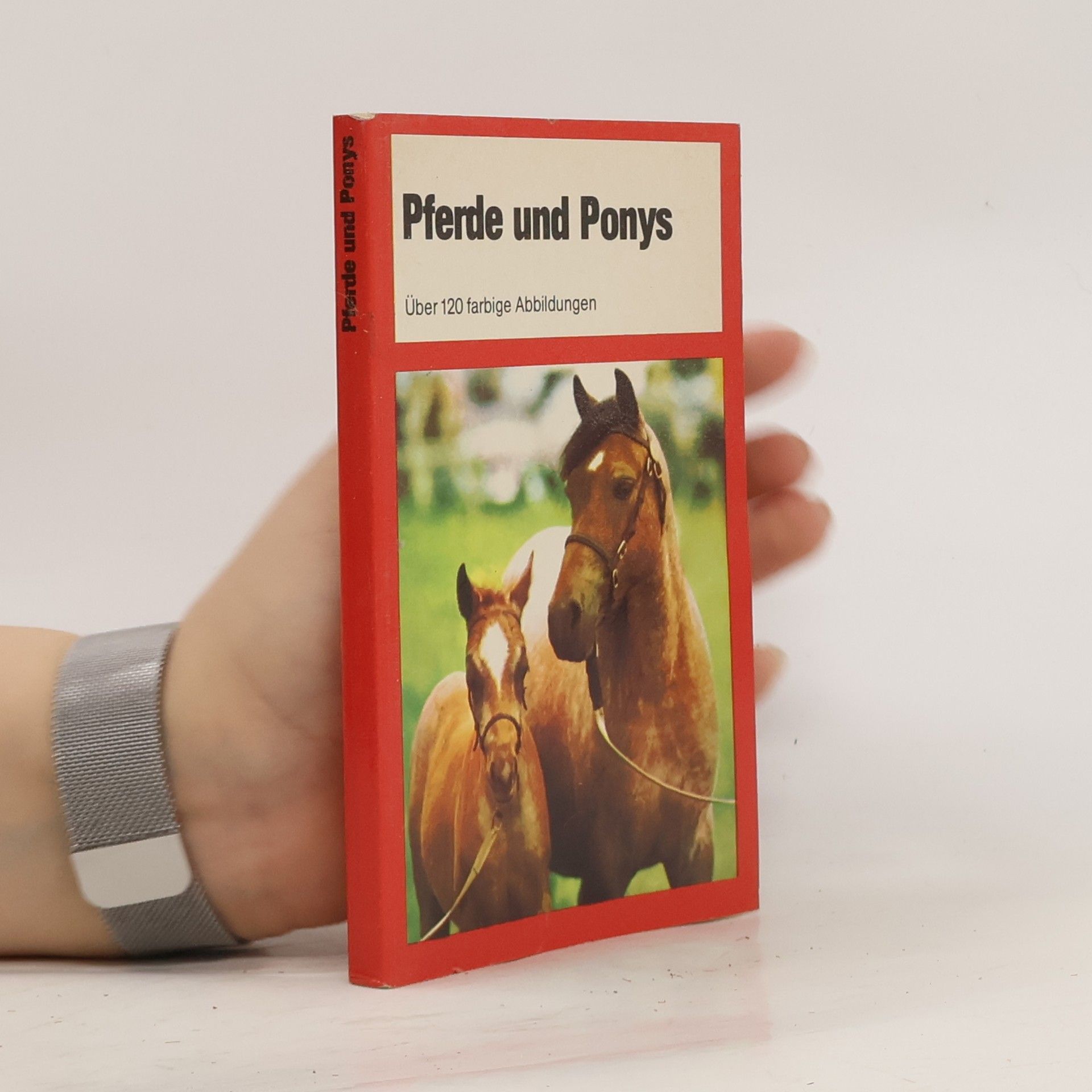 Judith Campbell Pferde und Ponys
