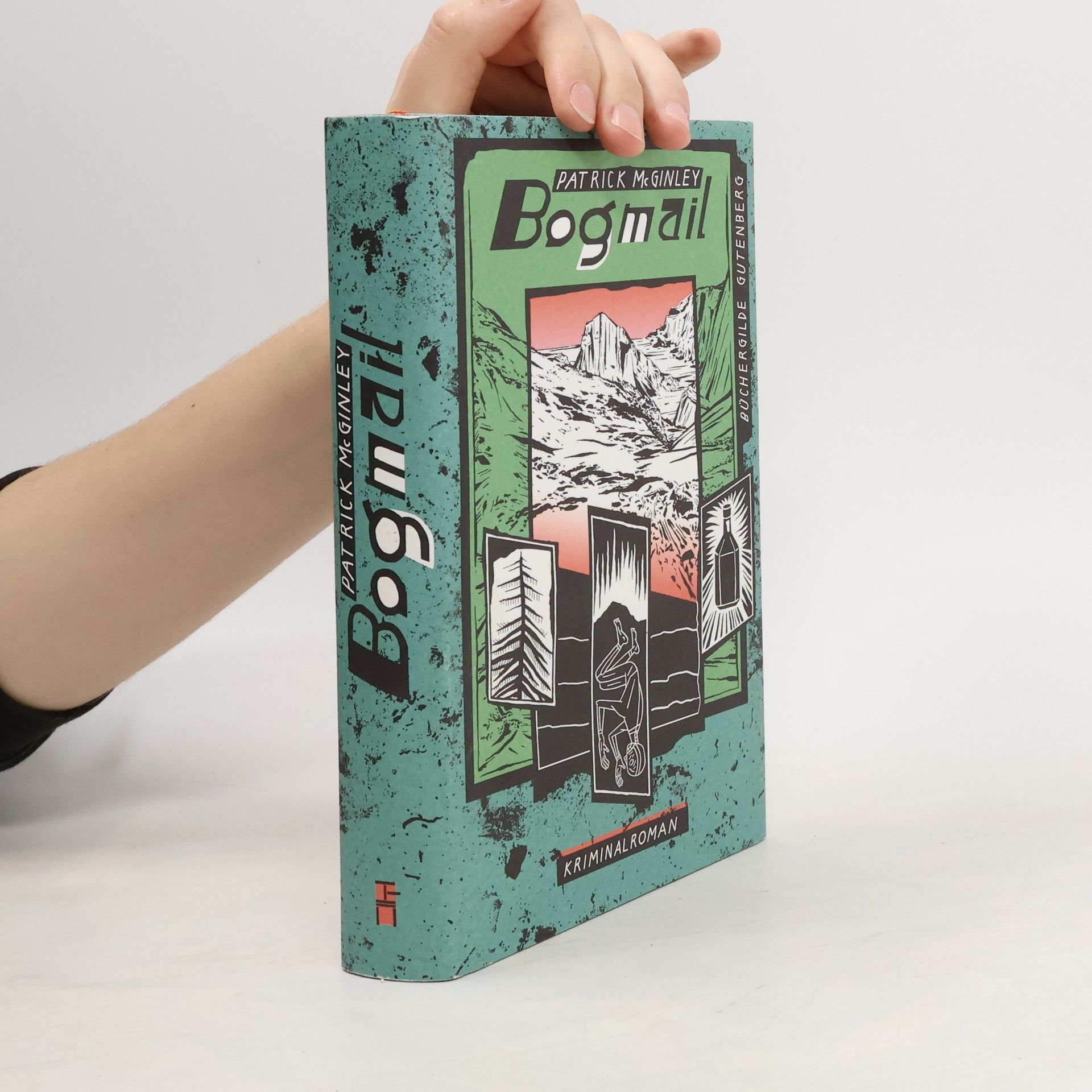 Patrick McGinley Bogmail