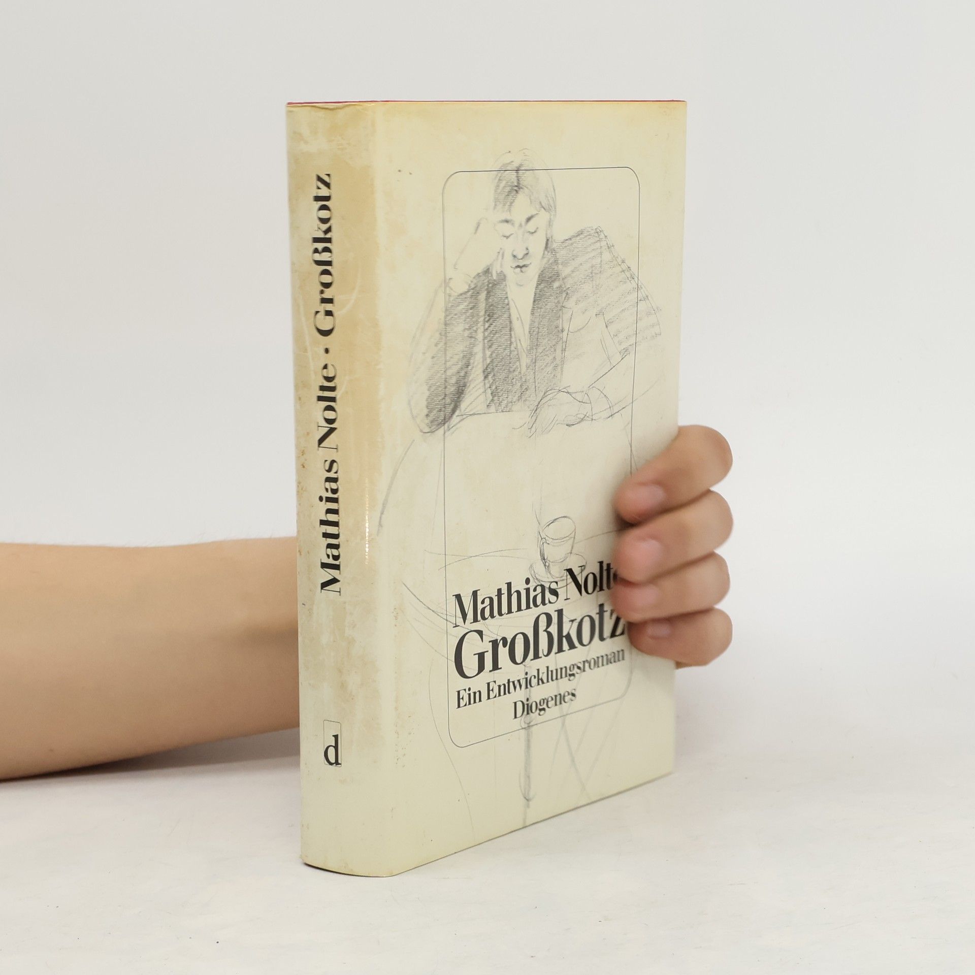 Mathias Nolte Großkotz. Ein Entwicklungsroman