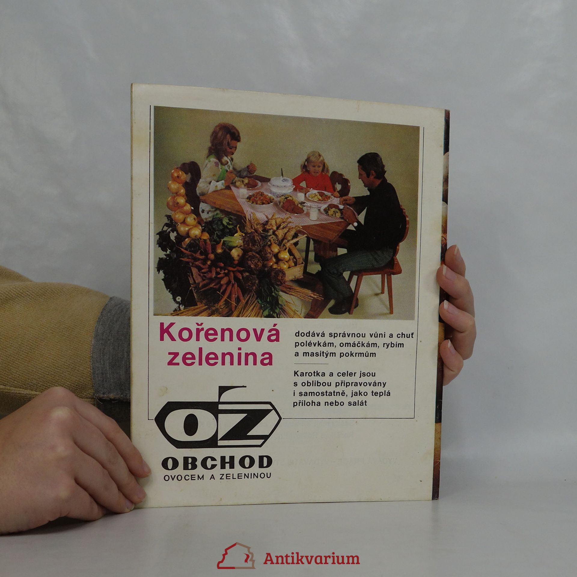 Anna Straková Brambory a zelenina. Sešity domácího hospodaření. Svazek 101