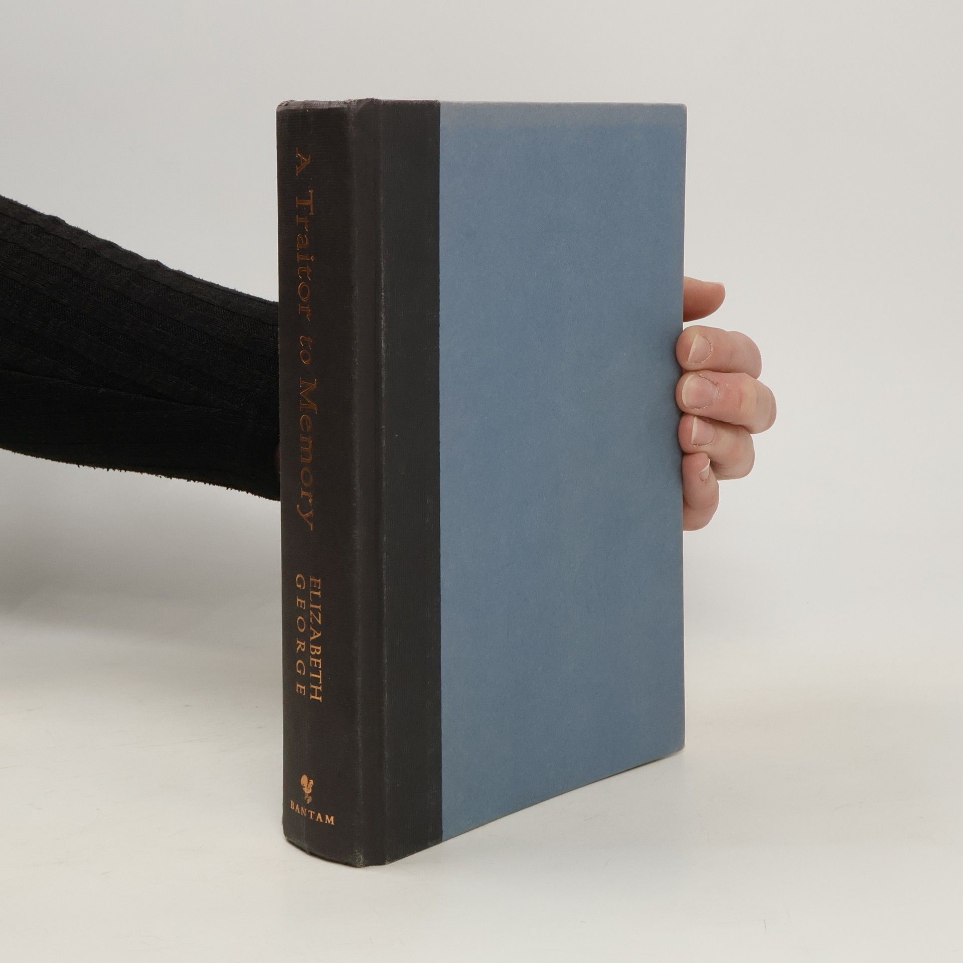 Elizabeth Thornton A Traitor to Memory