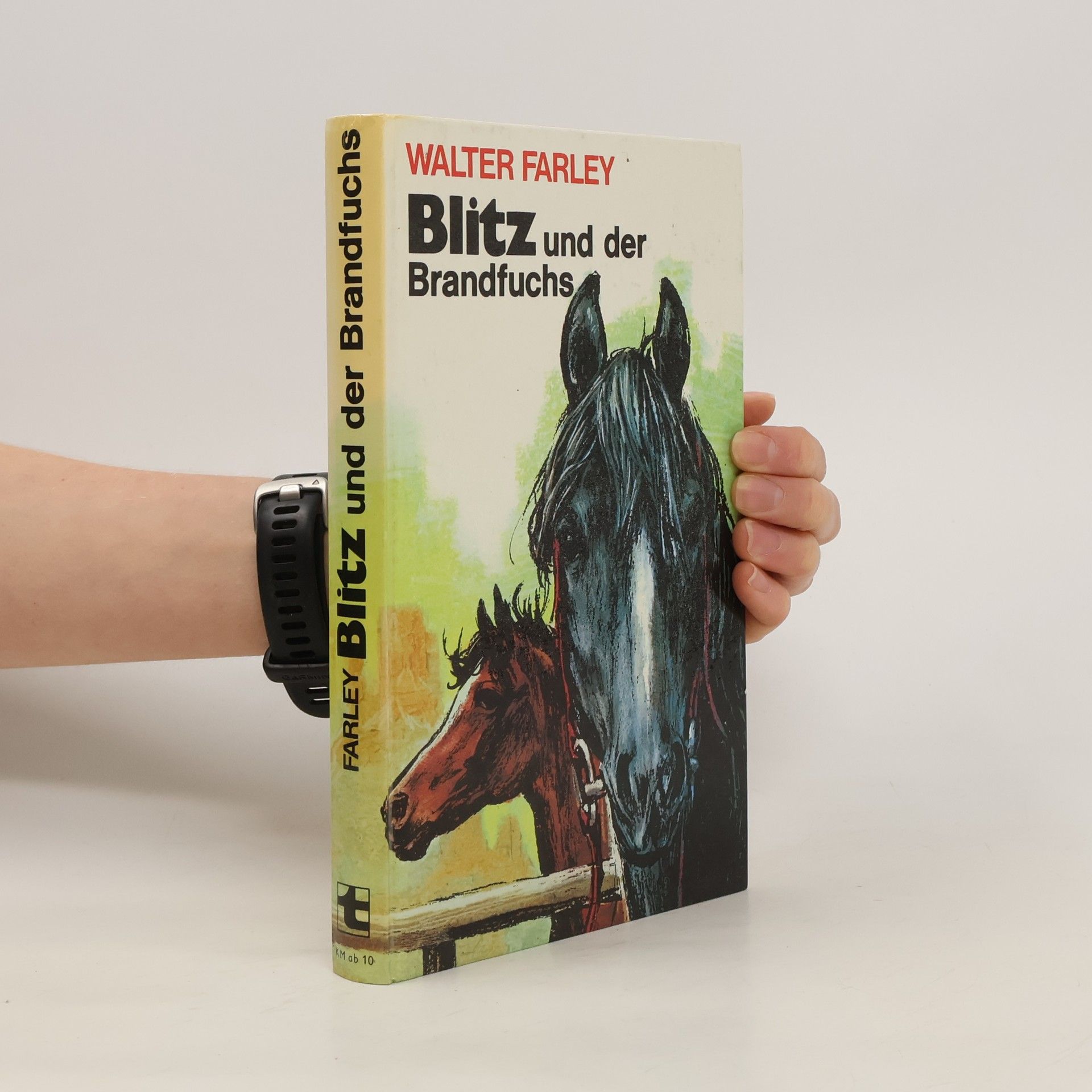 Walter Farley Blitz und der Brandfuchs