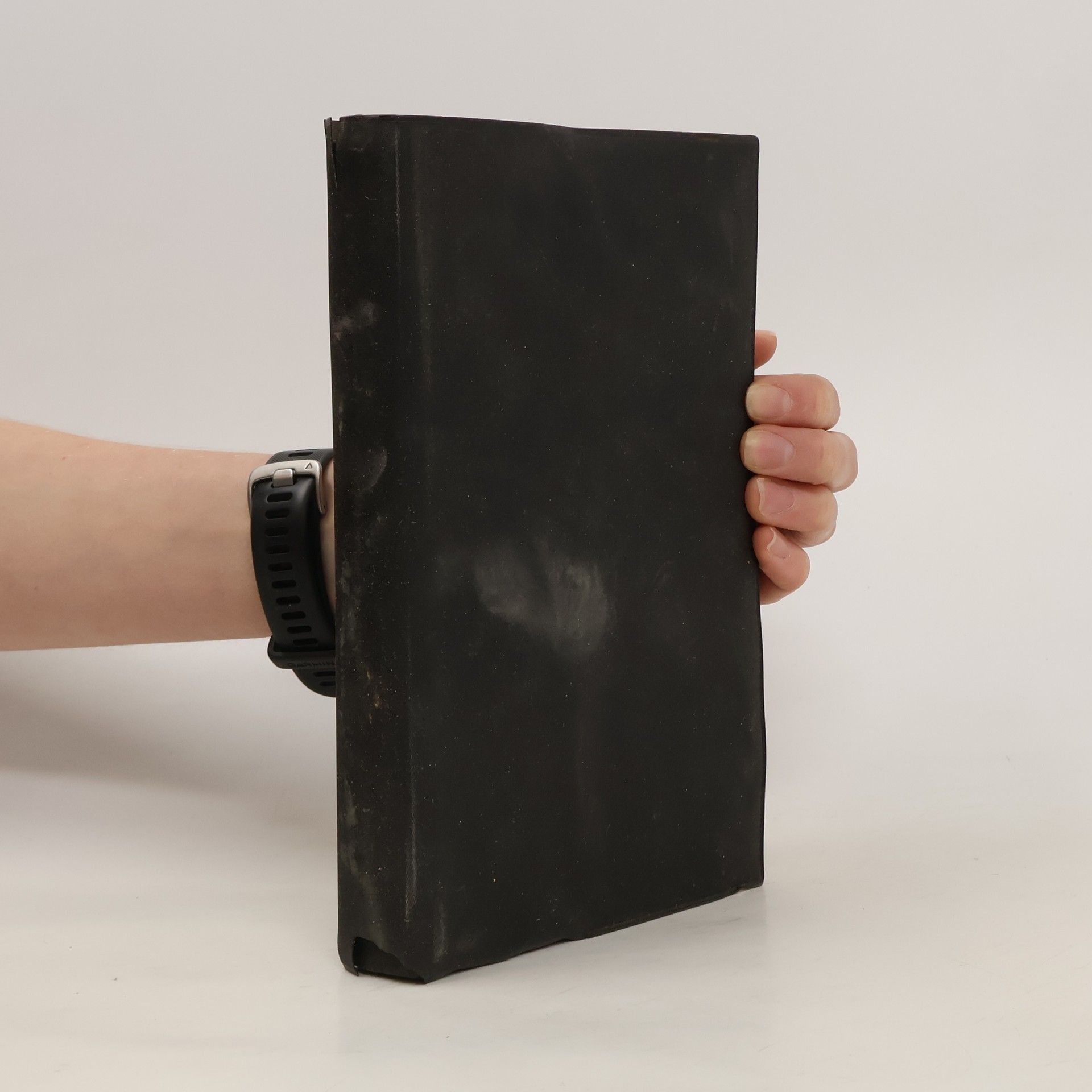 Martin Luther Der heilige Schrift
