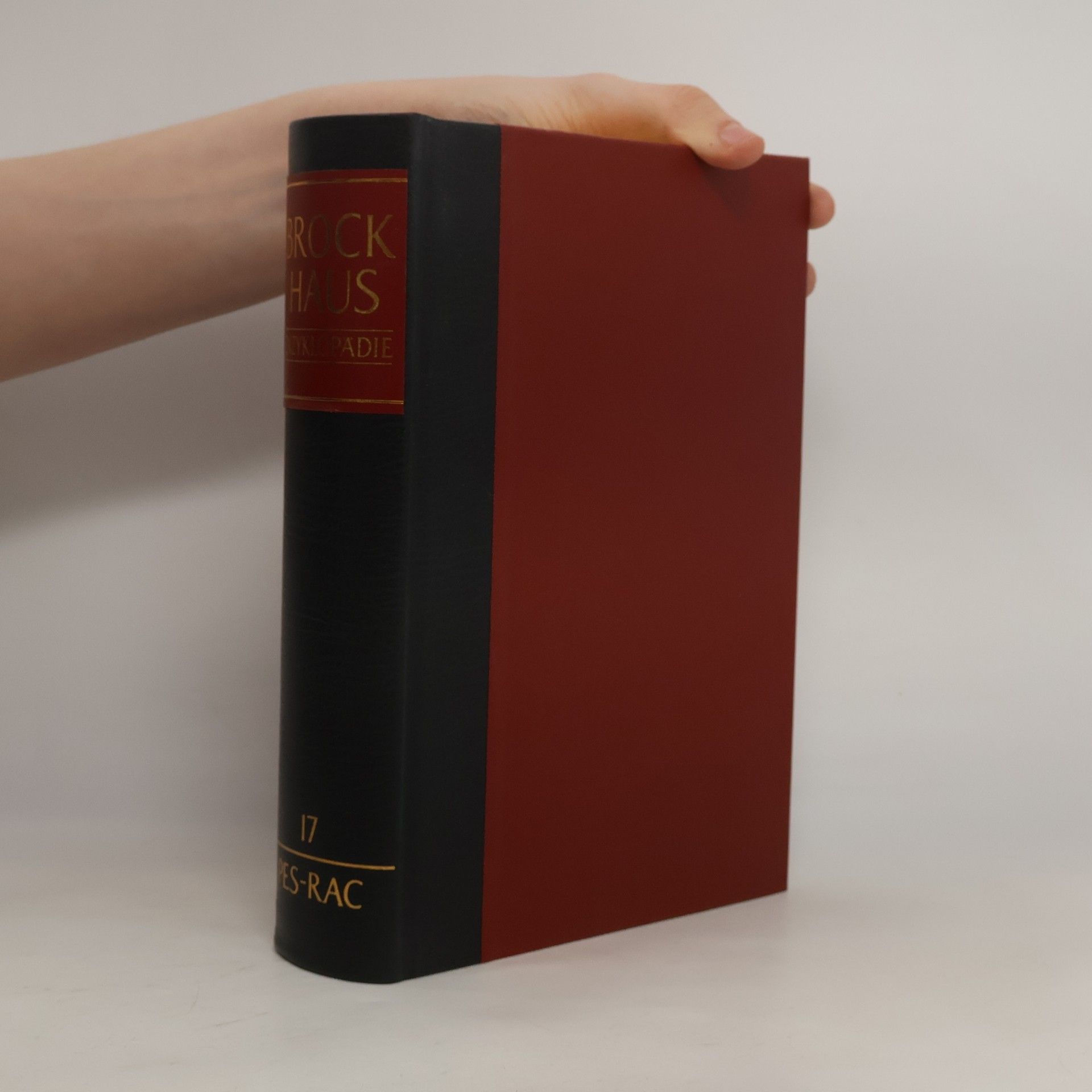 Collectif d'auteurs Brockhaus Enzyklopädie 17. PES-RAC