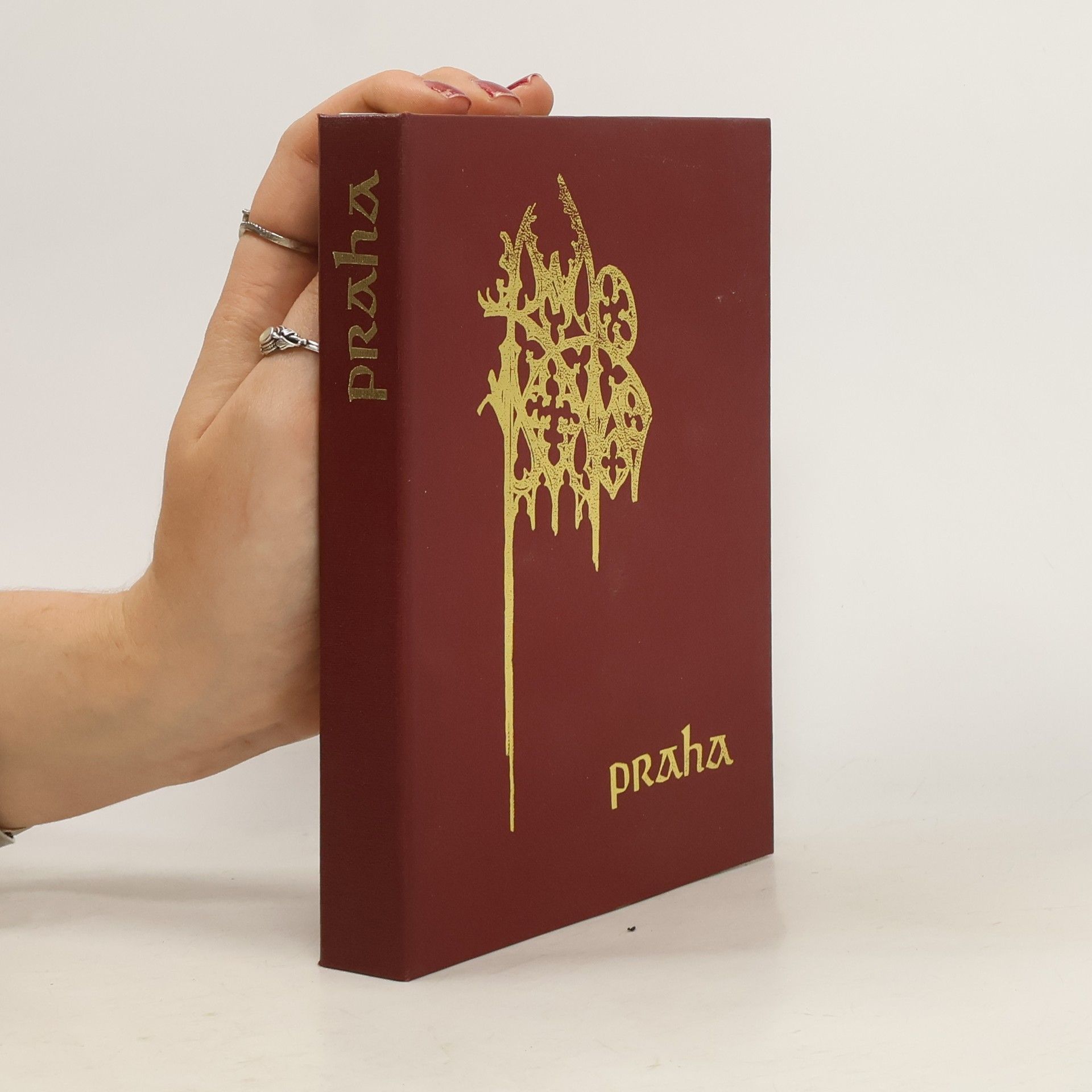 Vinvenc Morstadt Praha